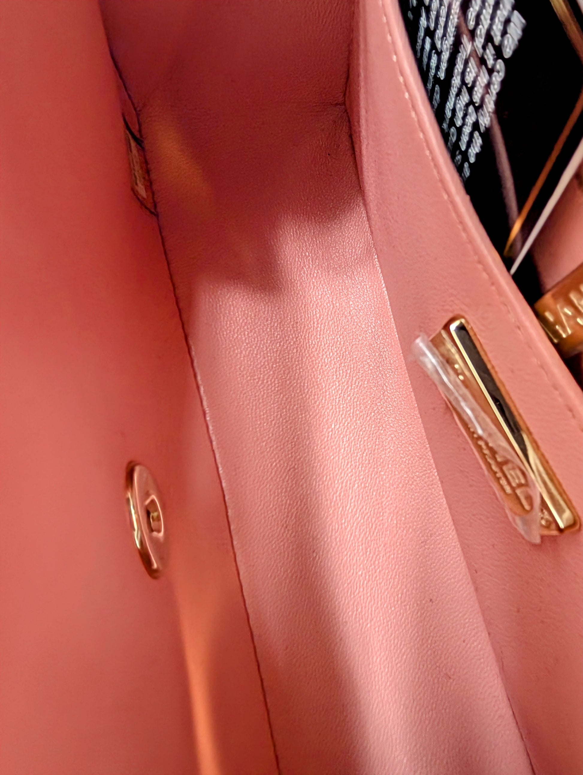 Chanel Rare Salmon Pink Mini Rectangular Classic Flap Bag in Python Leather