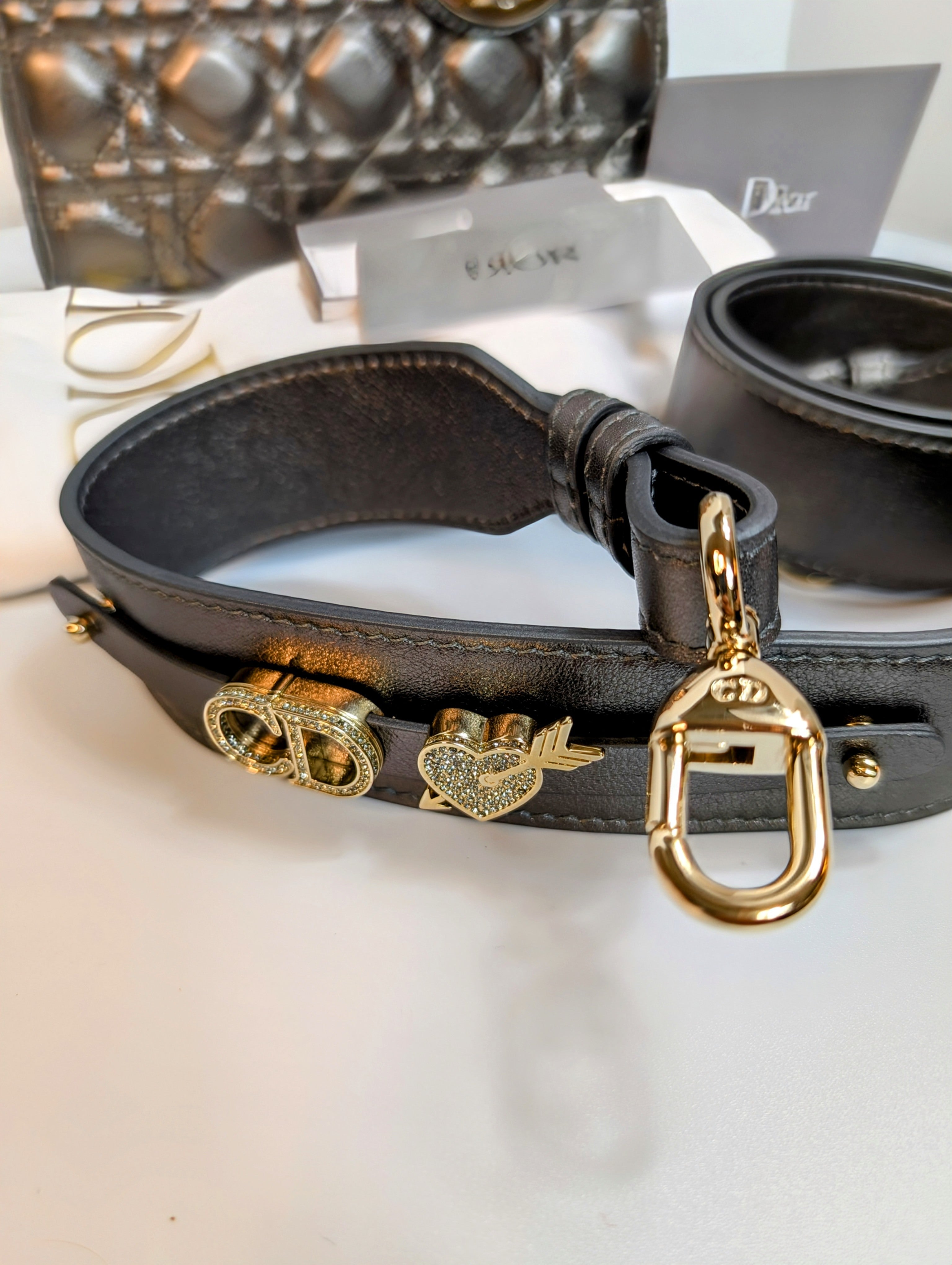 Dior Lady Dior Metallic Gray Cannage My ABCDior Bag