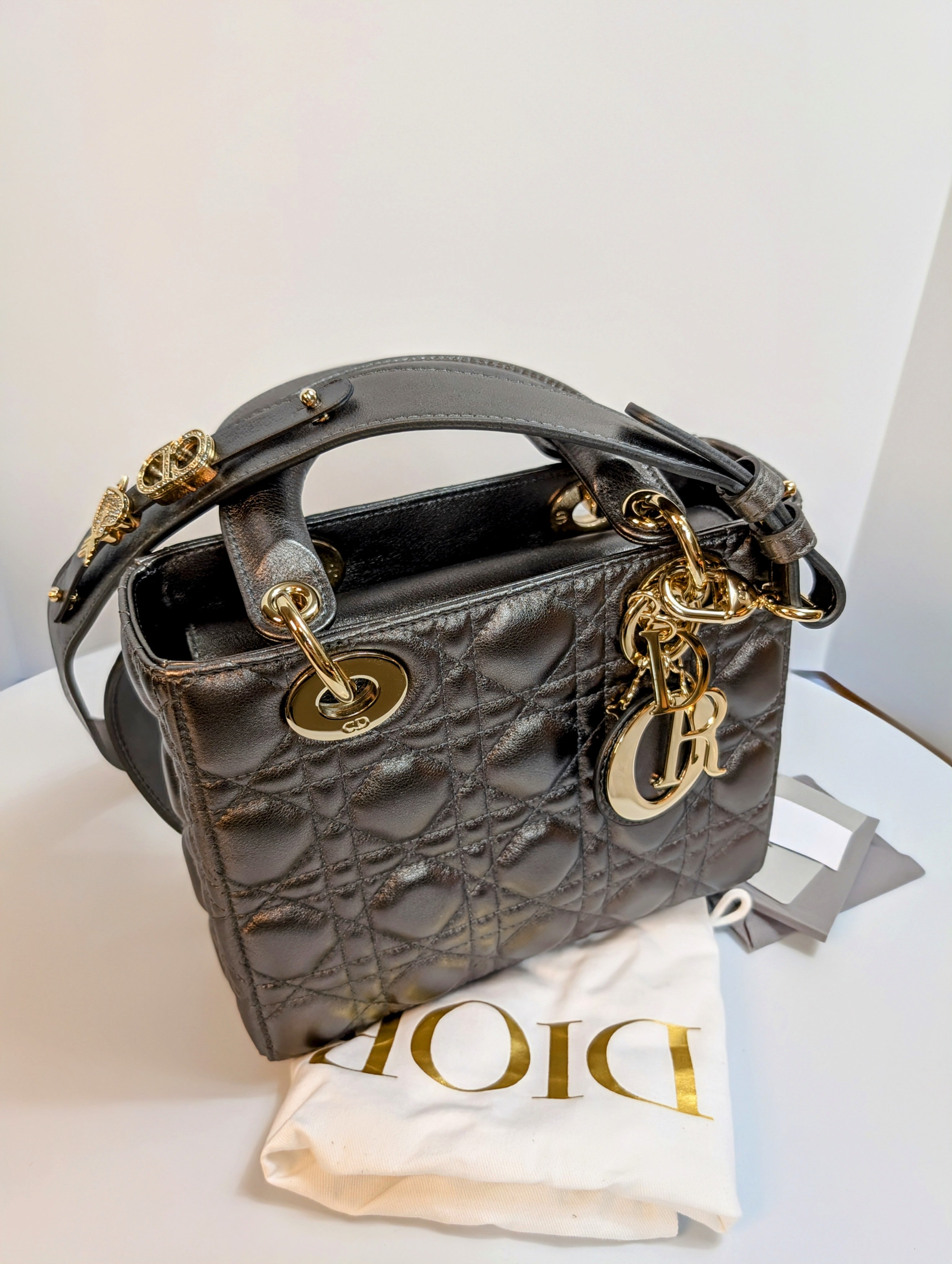 Dior Lady Dior Metallic Gray Cannage My ABCDior Bag