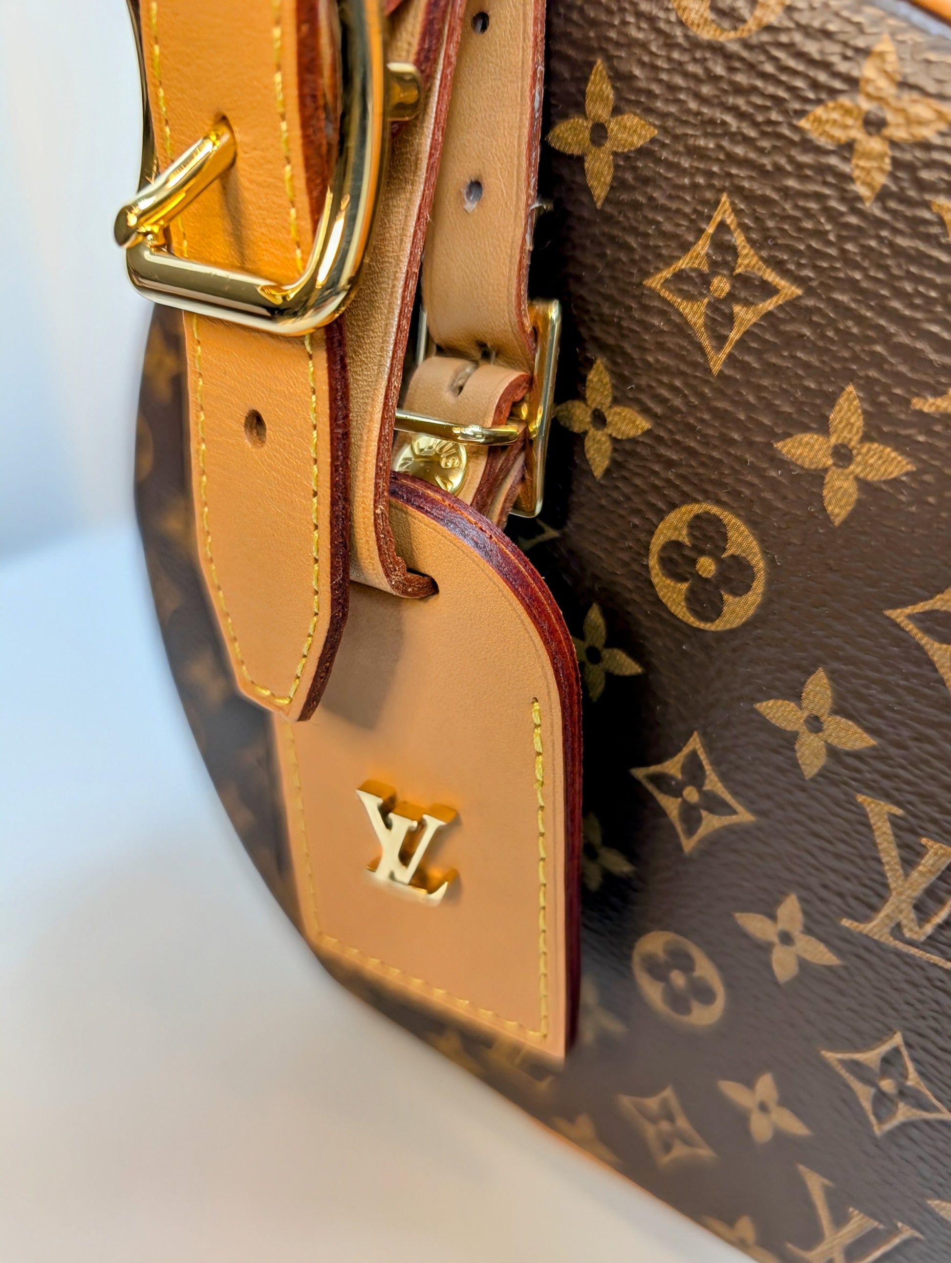 Louis Vuitton Brown Boite Chapeau Souple Bag in Monogram Canvas