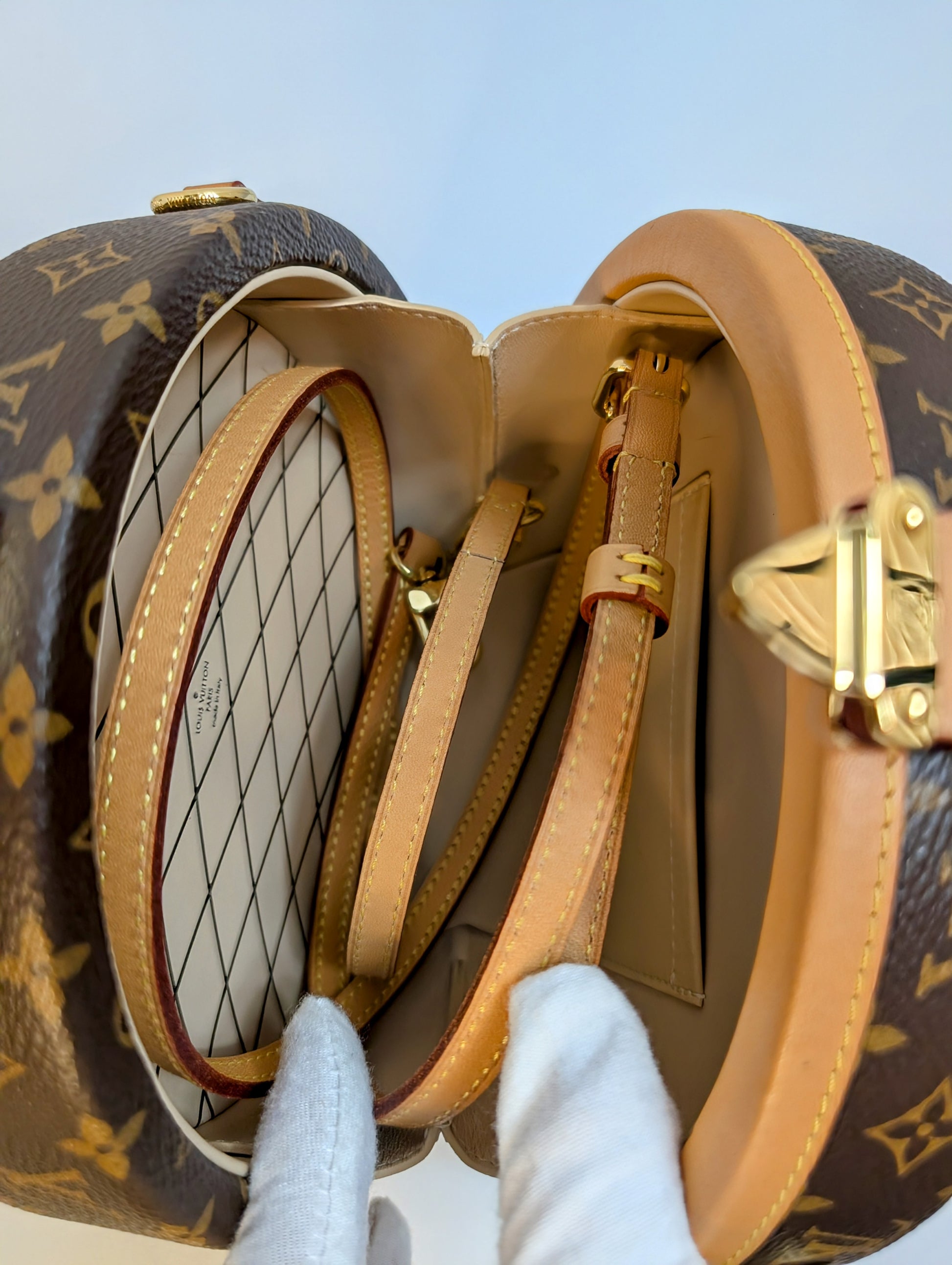 Louis Vuitton Brown Boite Chapeau Souple Bag in Monogram Canvas