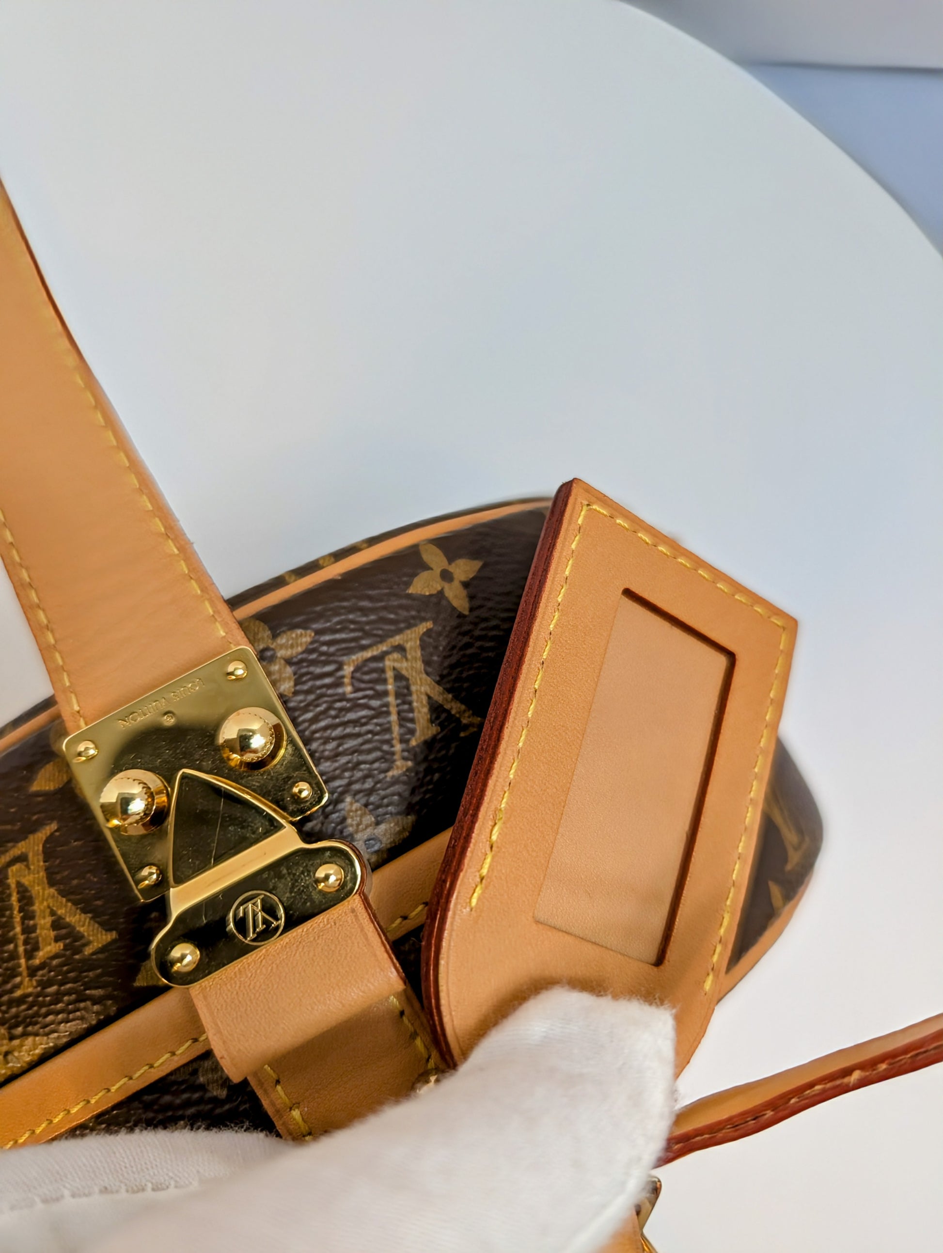 Louis Vuitton Brown Boite Chapeau Souple Bag in Monogram Canvas