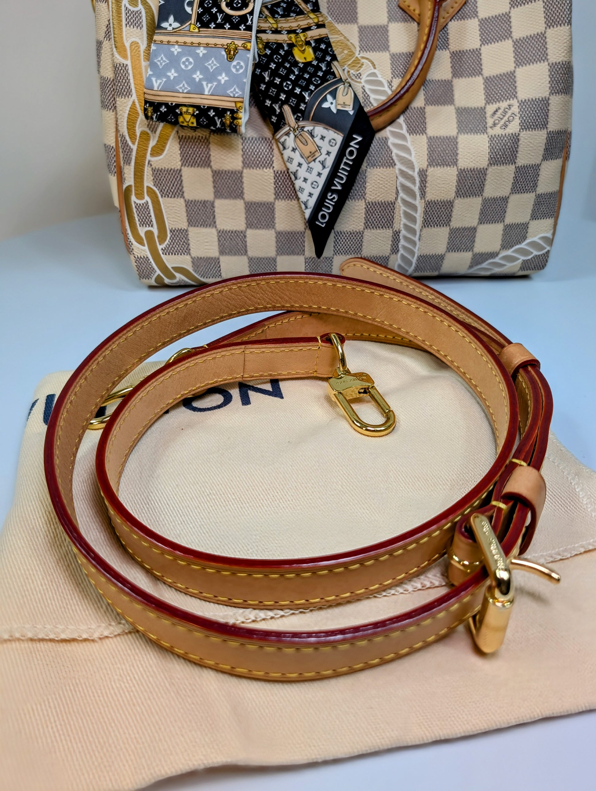 Louis Vuitton Nautical Damier Azur Speedy 25 Bandoulière