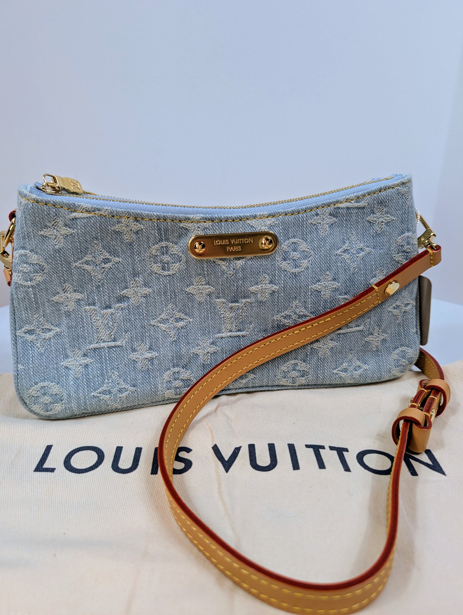 Louis Vuitton Blue Monogram Denim Mini Pochette