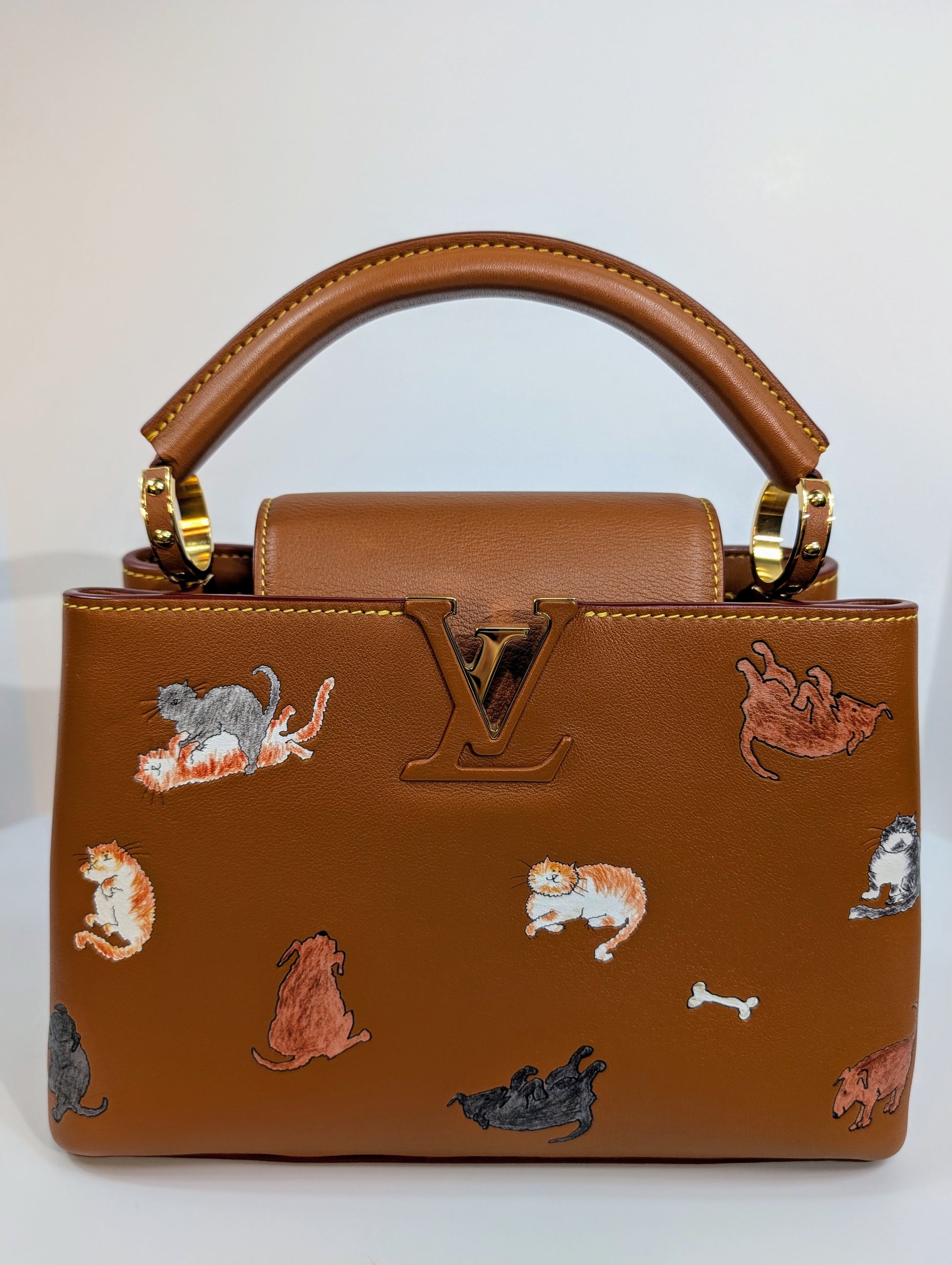 Louis Vuitton Rare Brown Capucines MM "Catogram" Bag