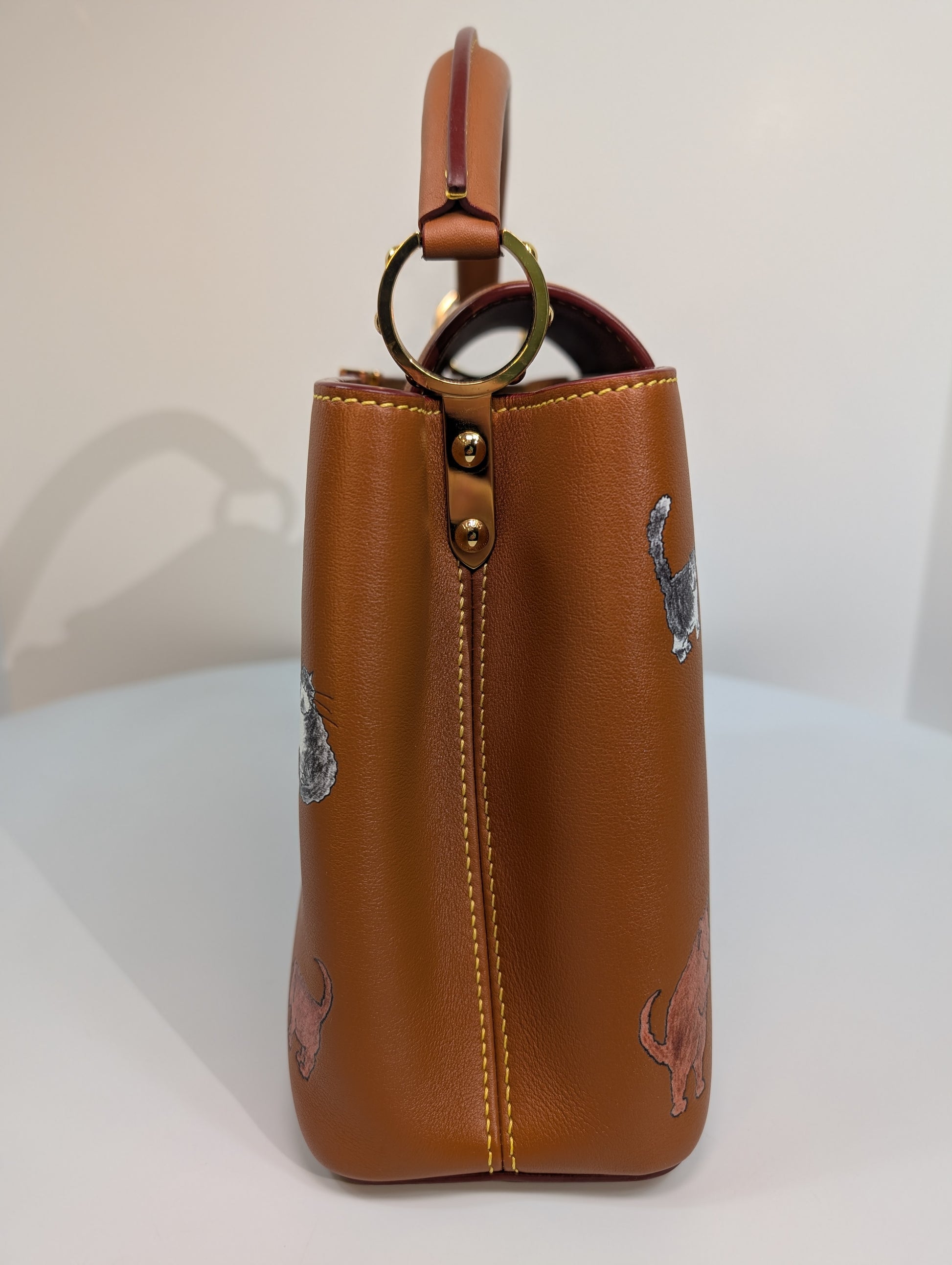 Louis Vuitton Rare Brown Capucines MM "Catogram" Bag