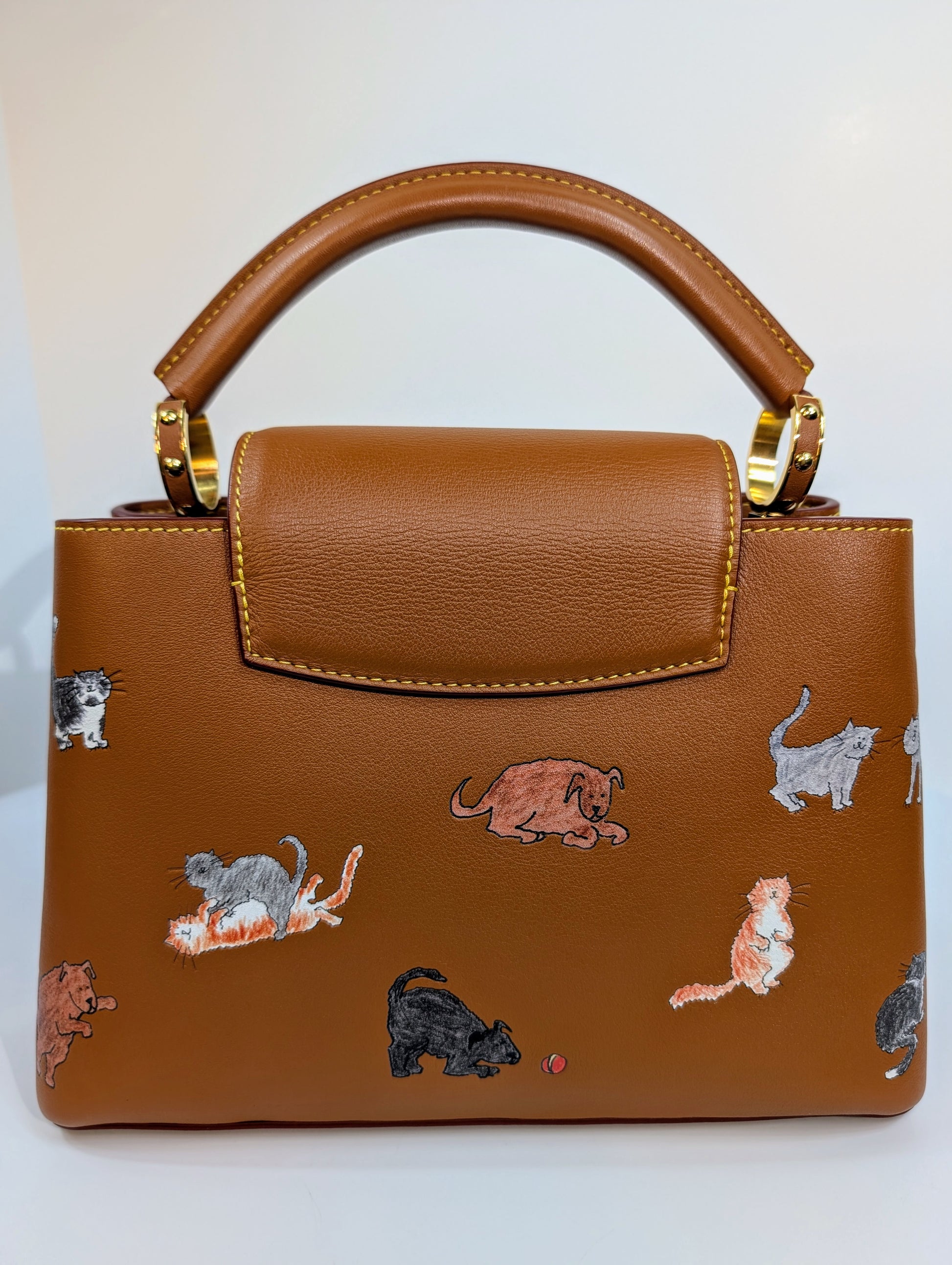 Louis Vuitton Rare Brown Capucines MM "Catogram" Bag