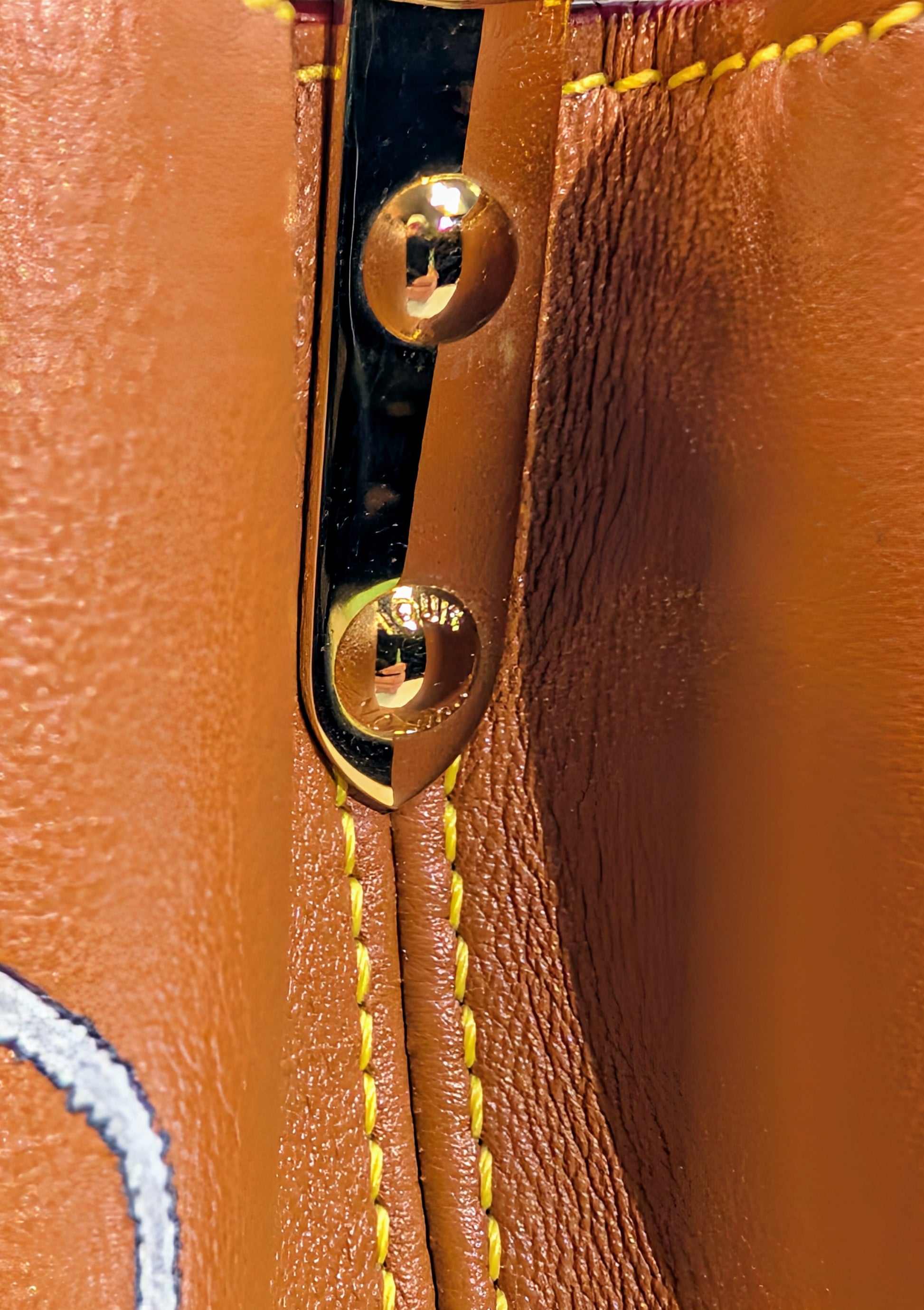 Louis Vuitton Rare Brown Capucines MM "Catogram" Bag