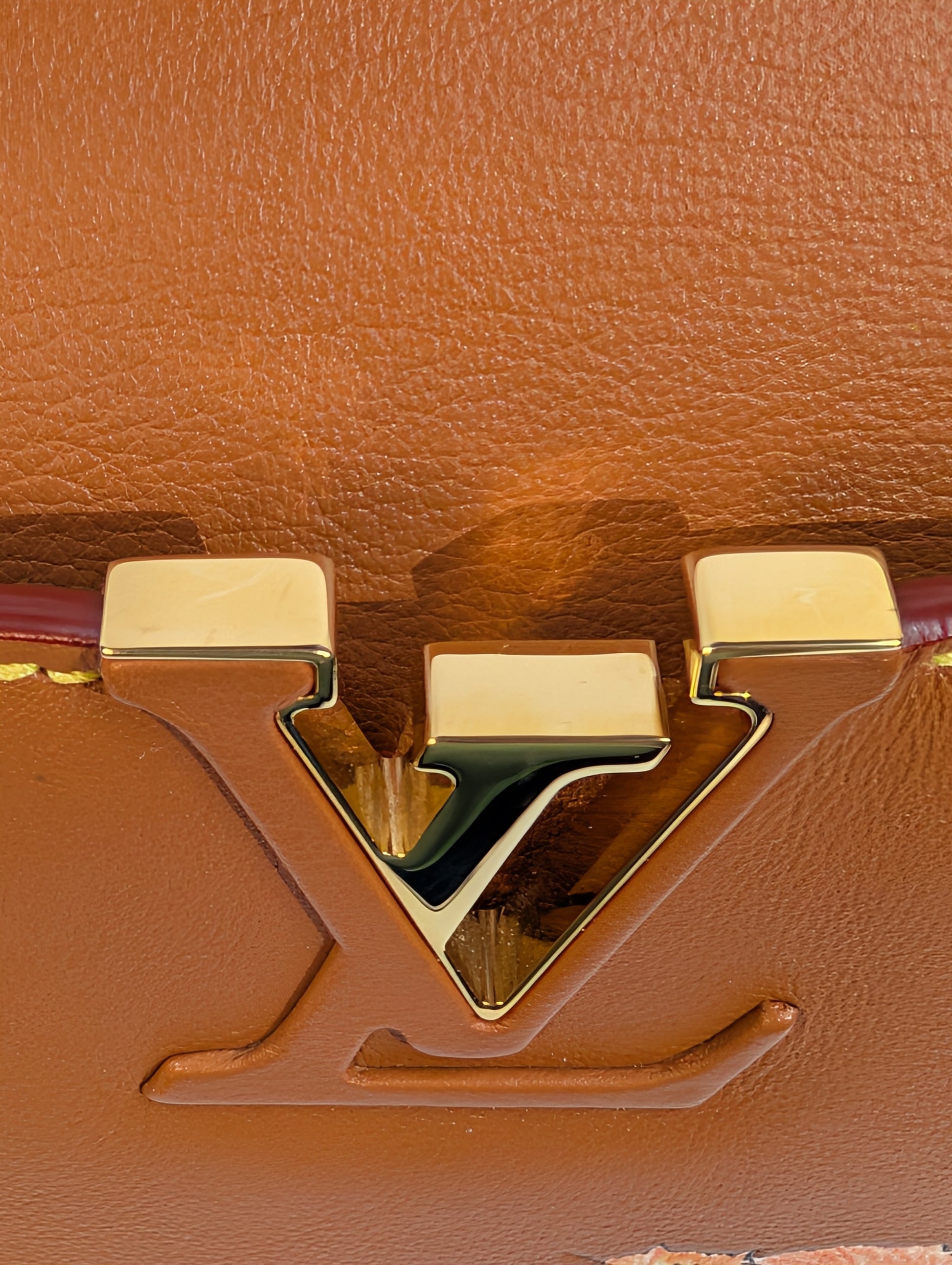 Louis Vuitton Rare Brown Capucines MM "Catogram" Bag