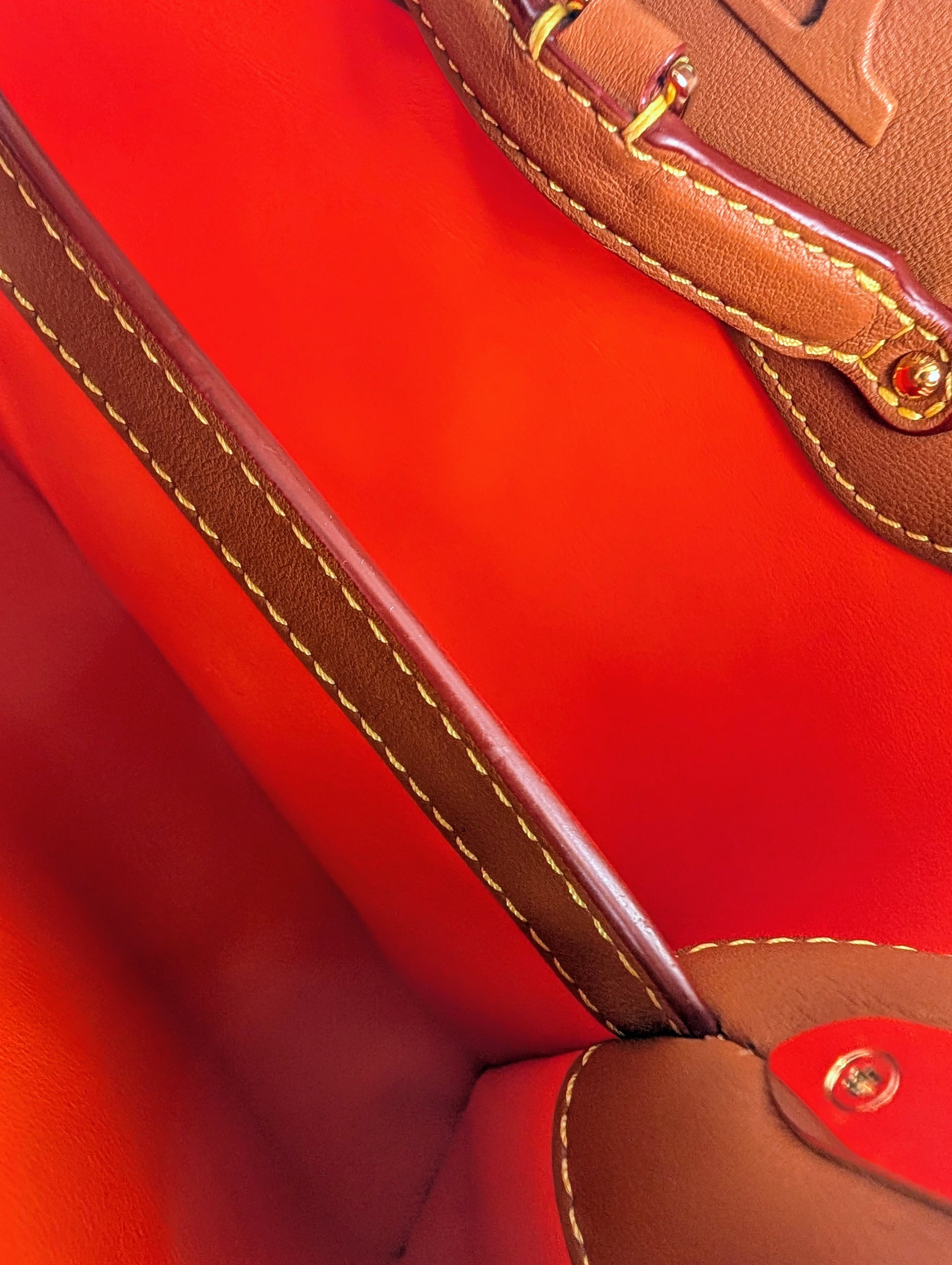 Louis Vuitton Rare Brown Capucines MM "Catogram" Bag