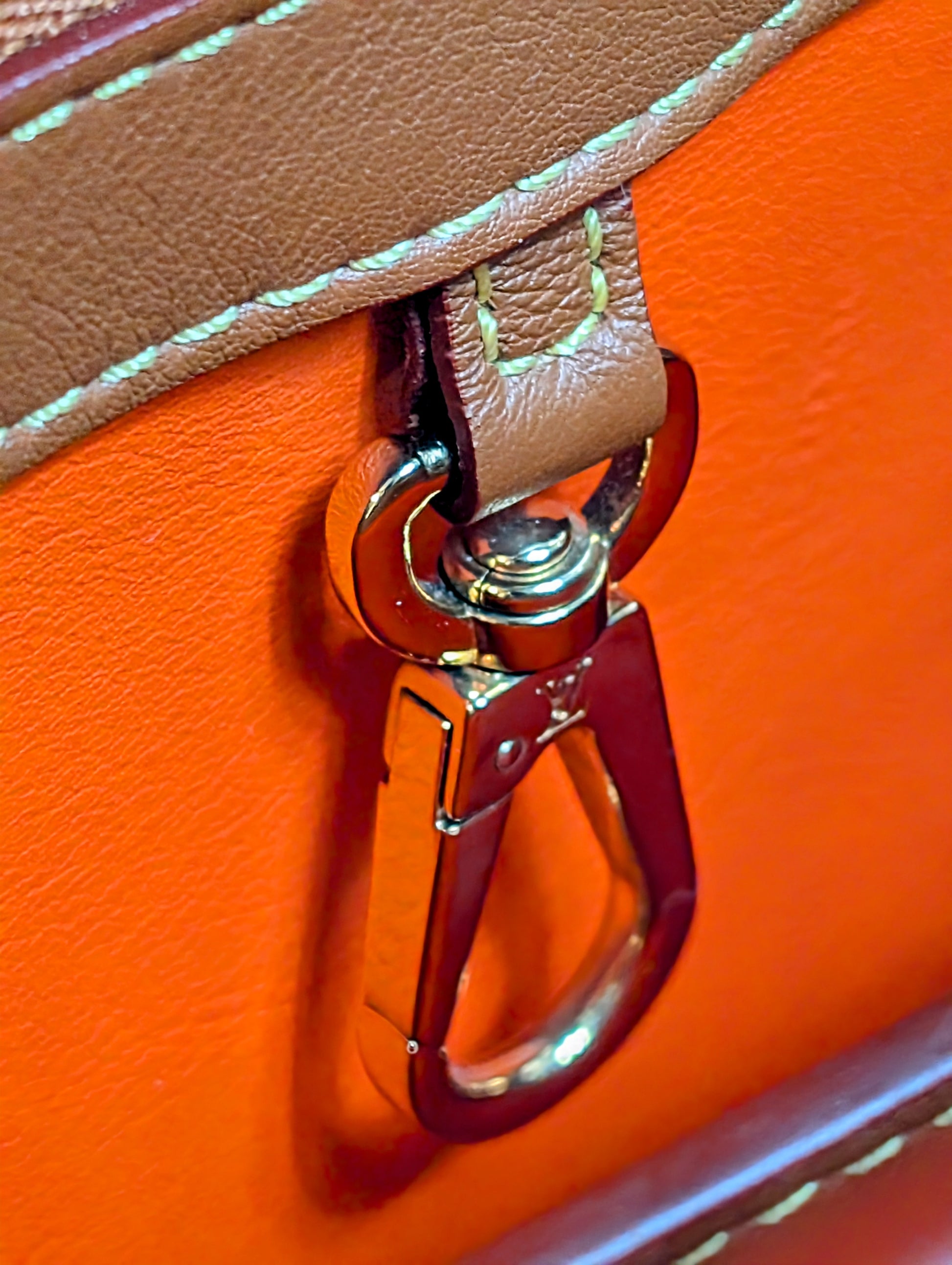 Louis Vuitton Rare Brown Capucines MM "Catogram" Bag