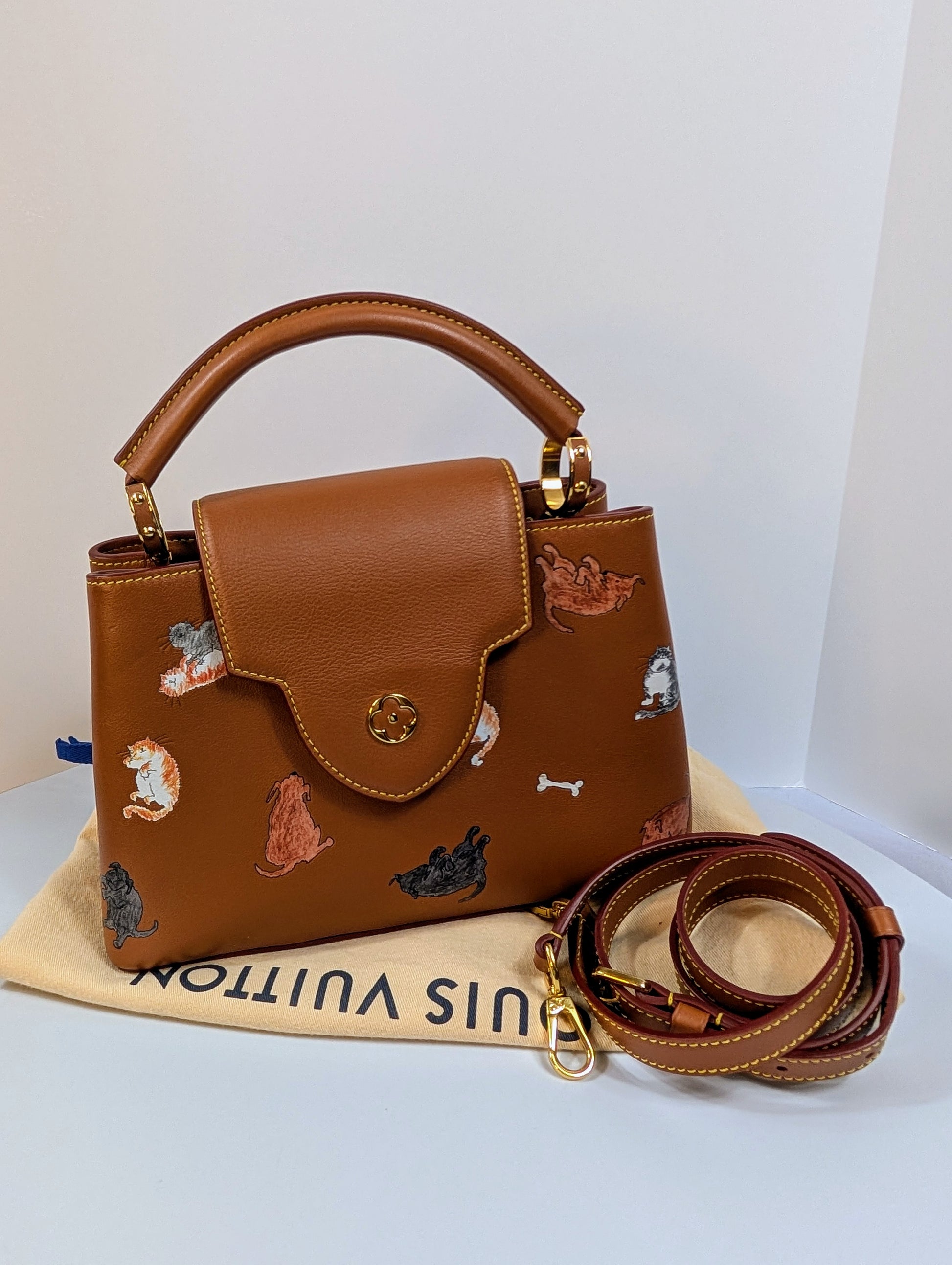 Louis Vuitton Rare Brown Capucines MM "Catogram" Bag