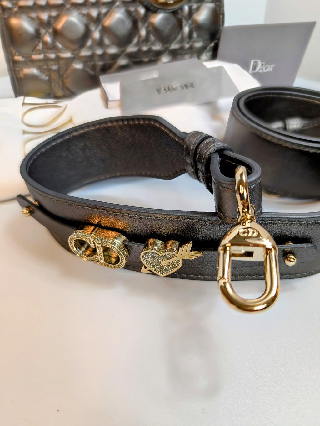 Dior Lady Dior Metallic Gray Cannage My ABCDior Bag