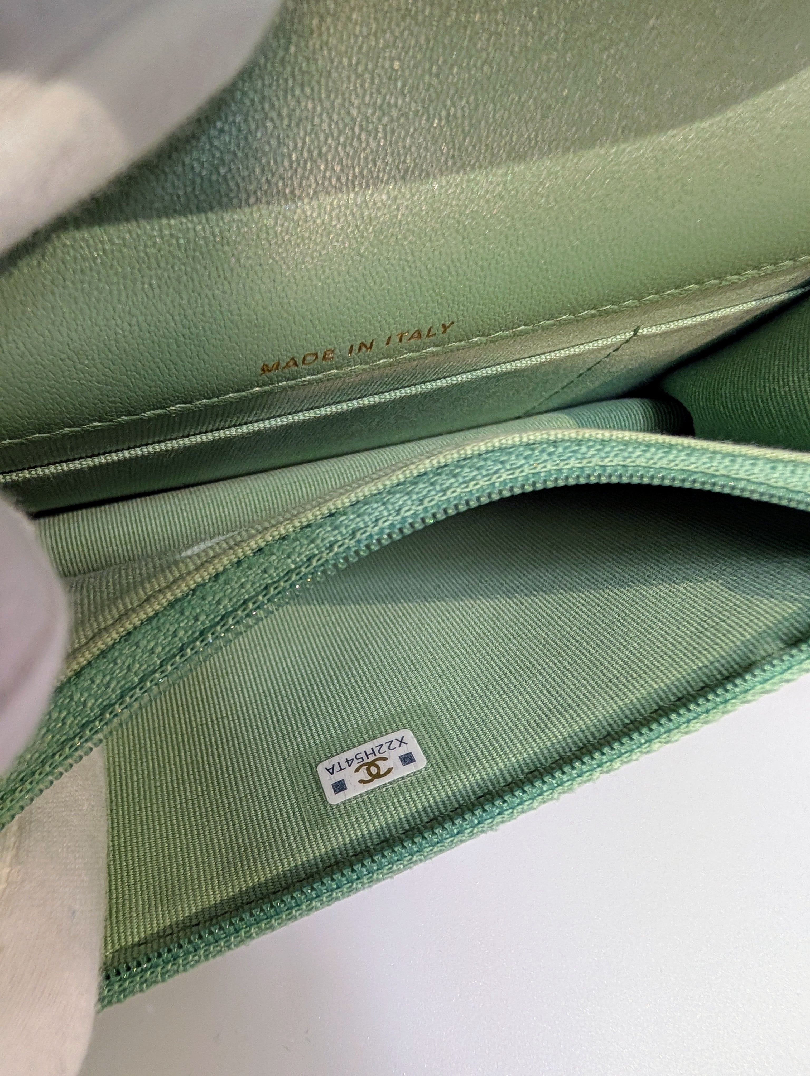 Chanel 19 Mint Quilted Lambskin Wallet On Chain (WOC)