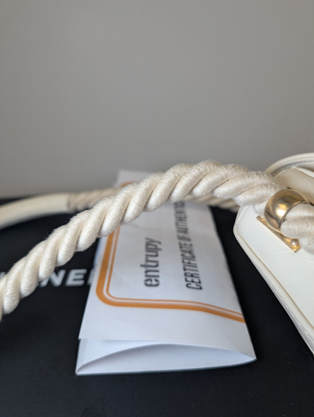 Chanel Rare En Vogue Rope Handbag Cruise RUNWAY 2019