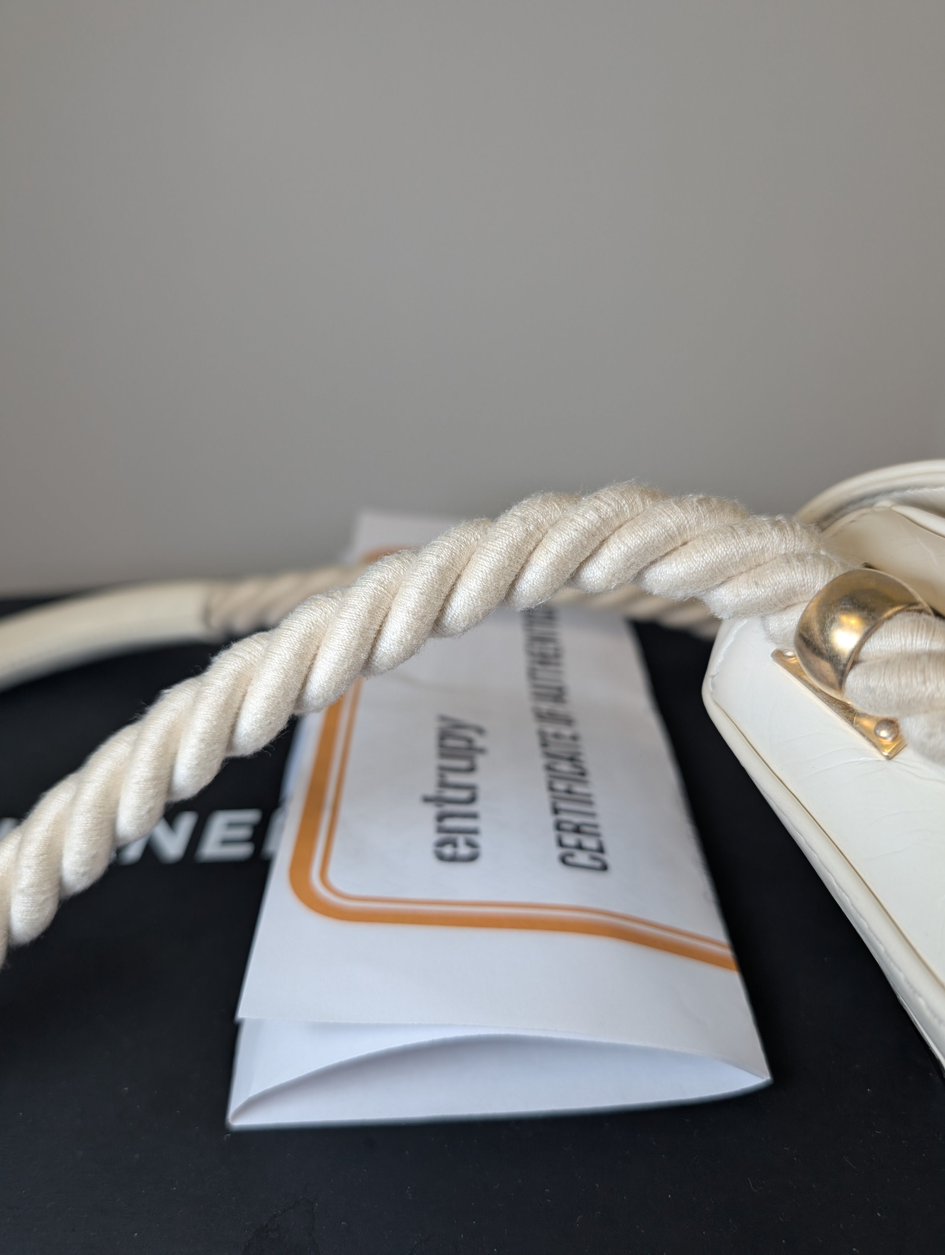 Chanel Rare En Vogue Rope Handbag Cruise RUNWAY 2019