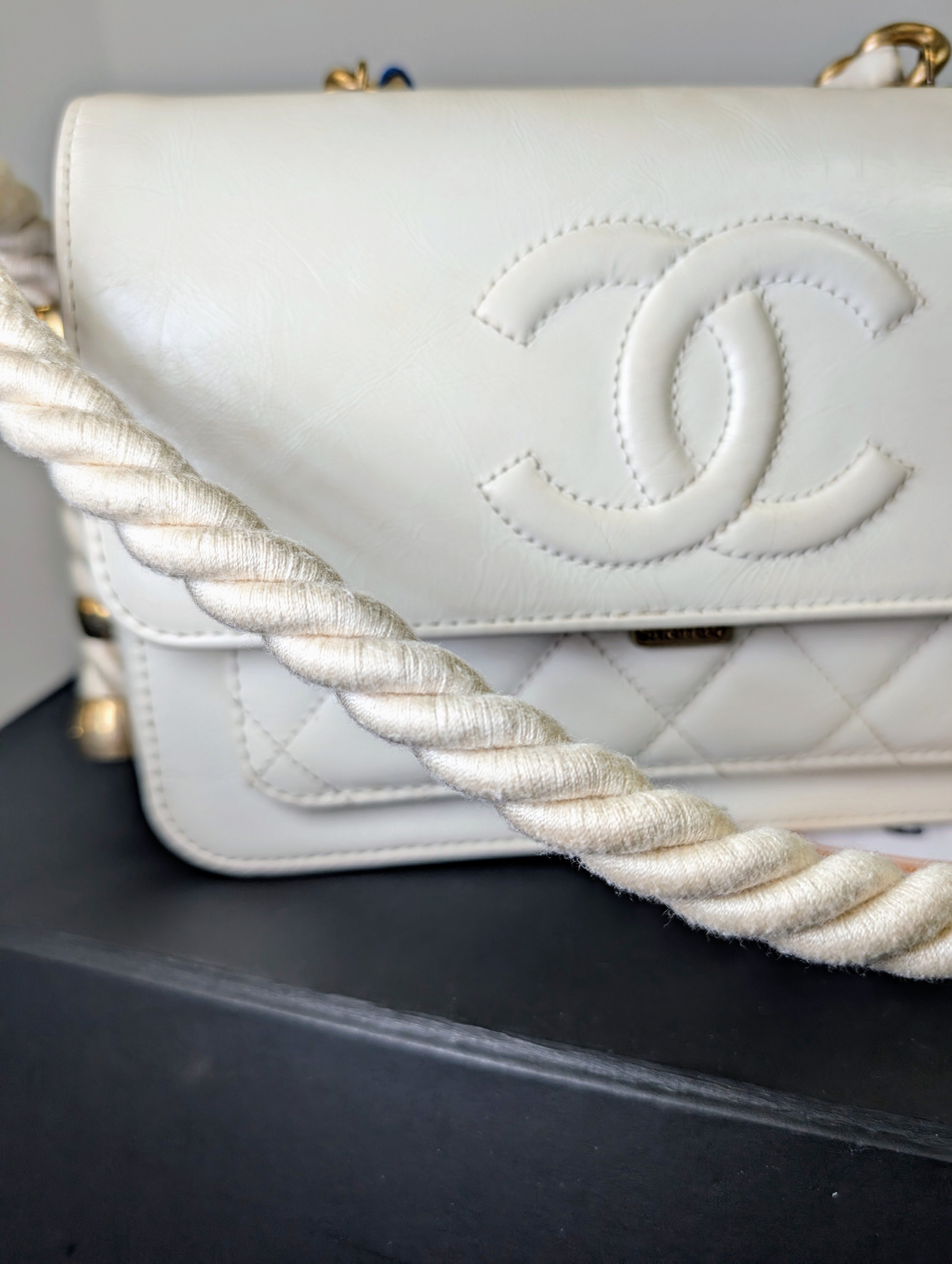 Chanel Rare En Vogue Rope Handbag Cruise RUNWAY 2019