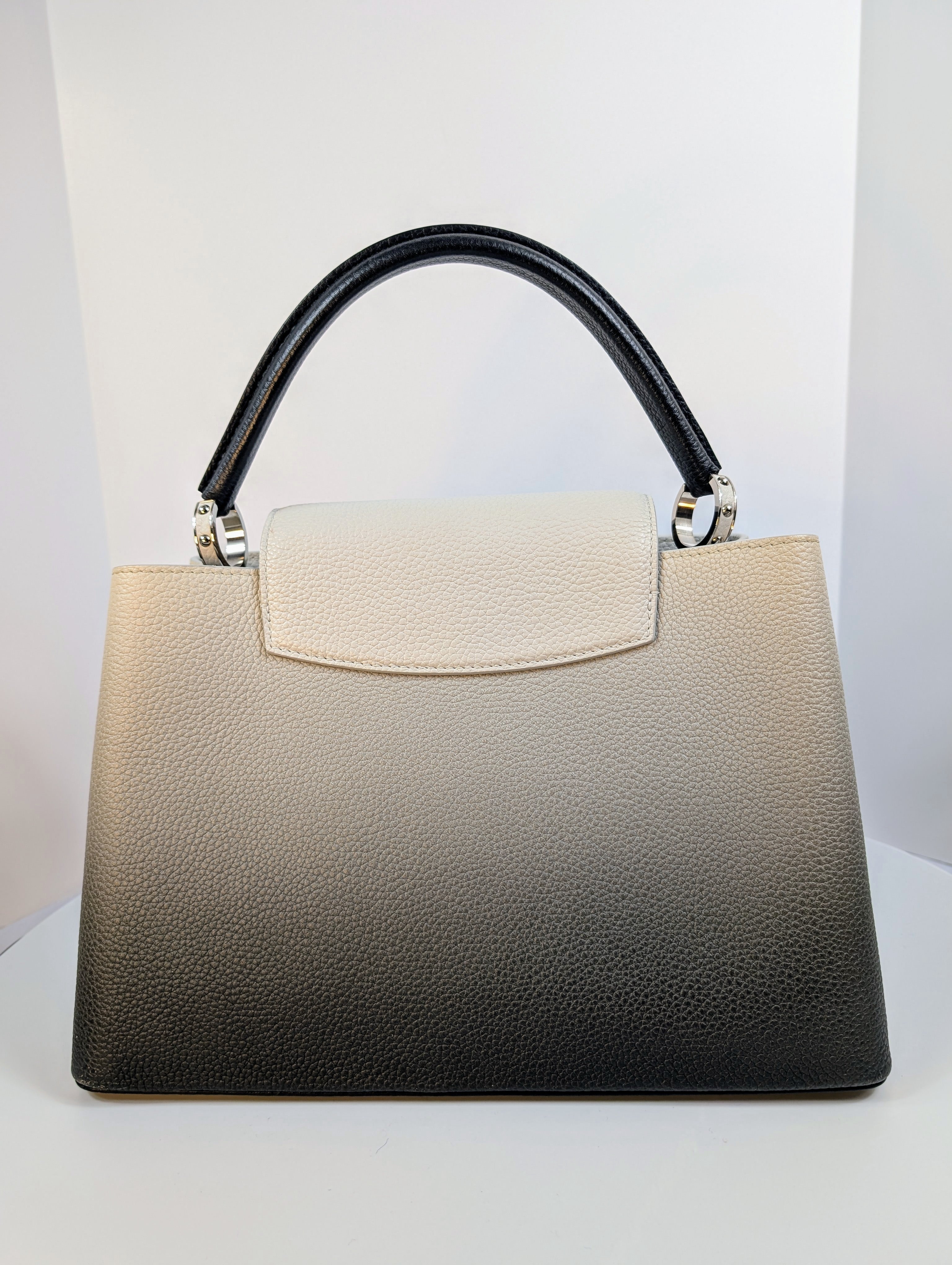 Louis Vuitton Light Grey Degrade Taulrillon Leather Capucines PM Bag