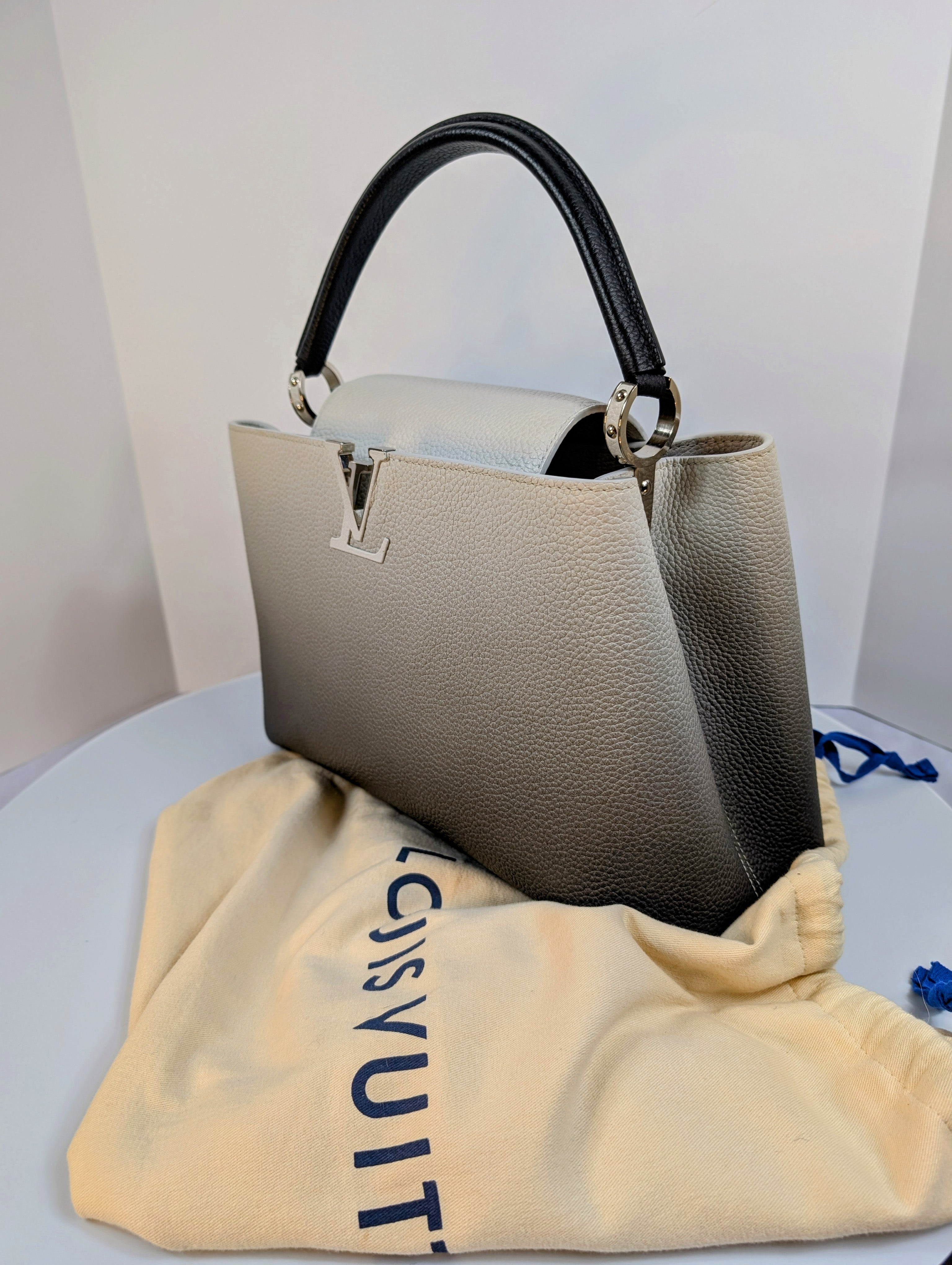 Louis Vuitton Light Grey Degrade Taulrillon Leather Capucines PM Bag