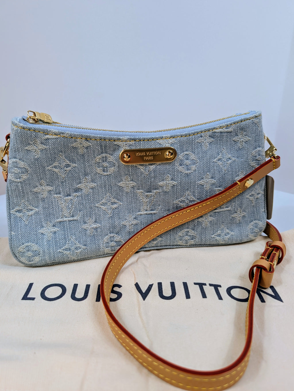 Louis Vuitton Blue Monogram Denim Mini Pochette