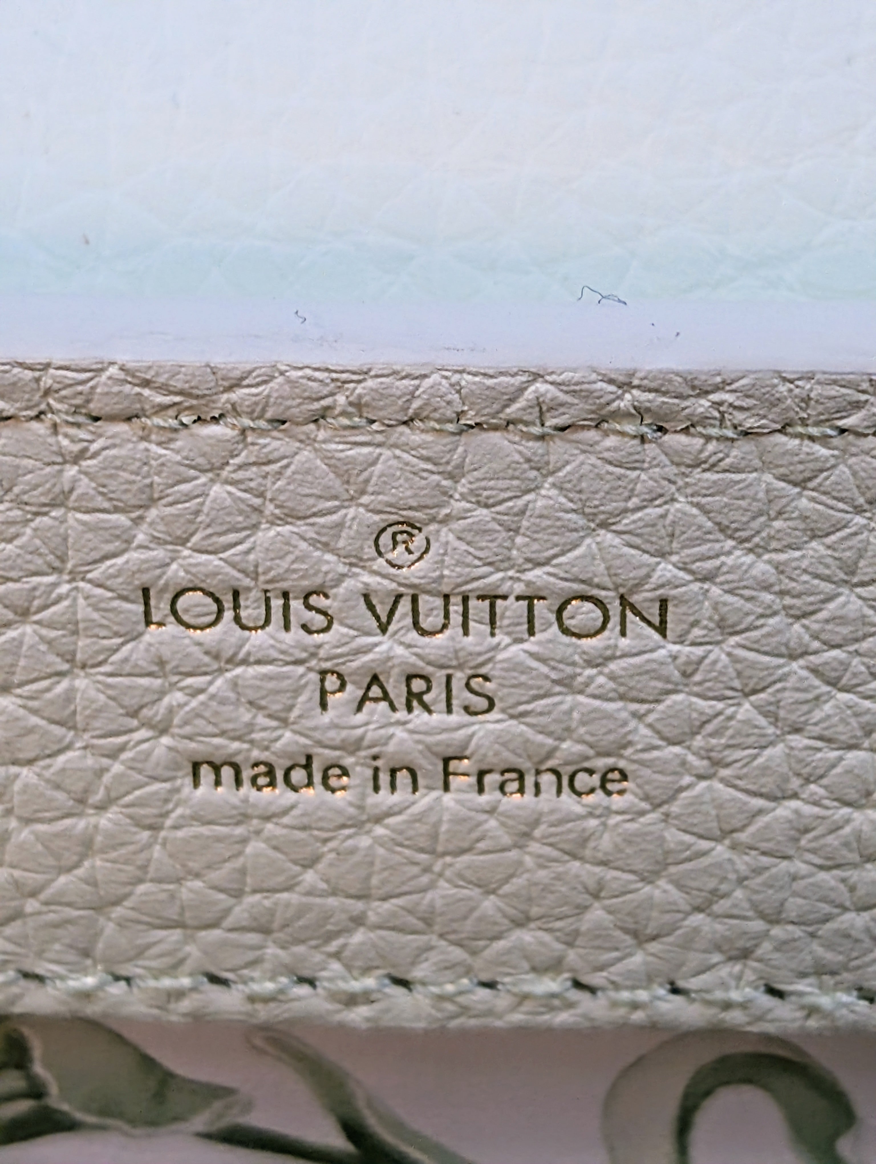 Louis Vuitton Mint Capucines Mini Bag