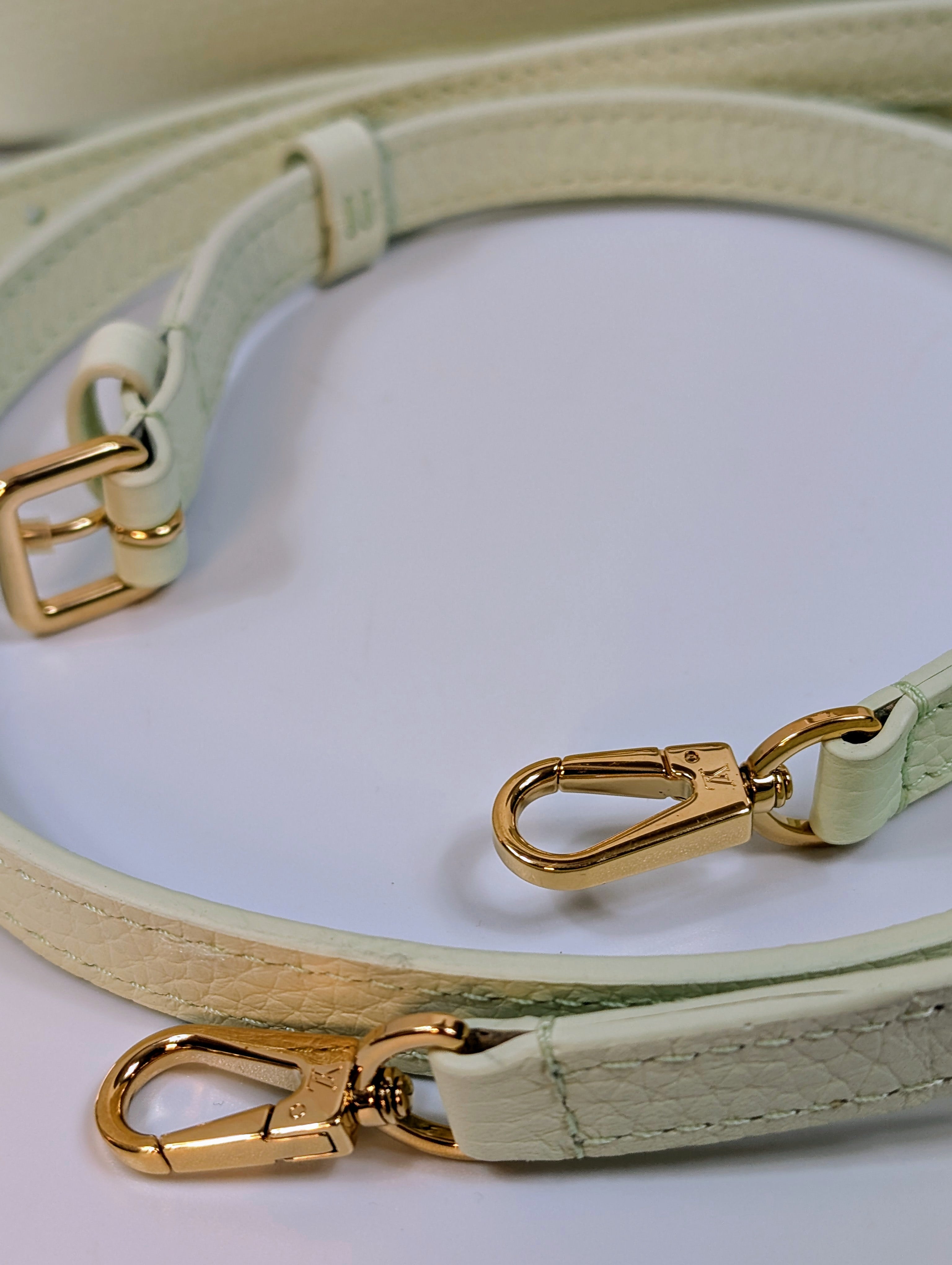 Louis Vuitton Mint Capucines Mini Bag