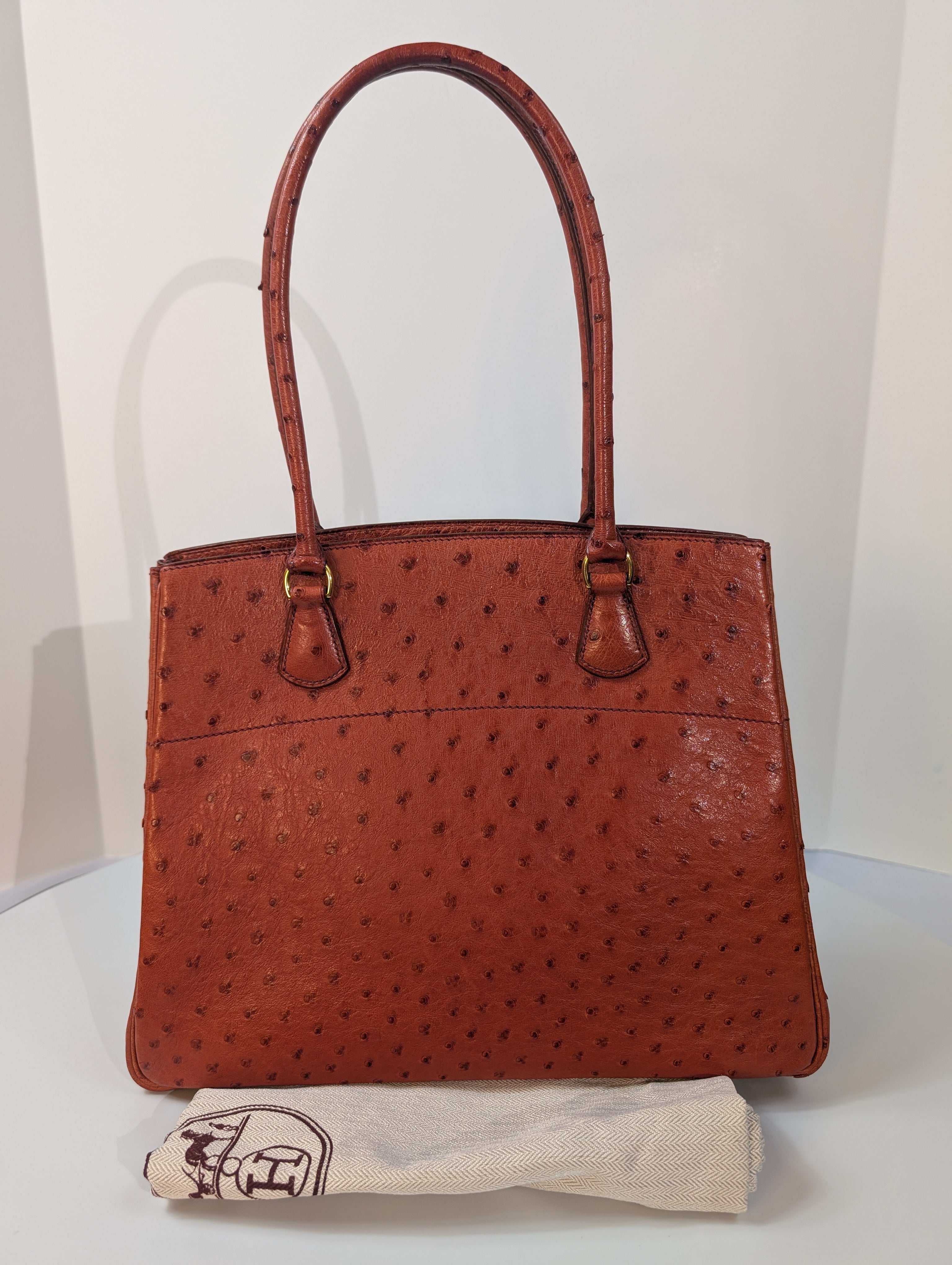 Hermes Vintage Orange Terracotta Ostrich Leather Tote Bag