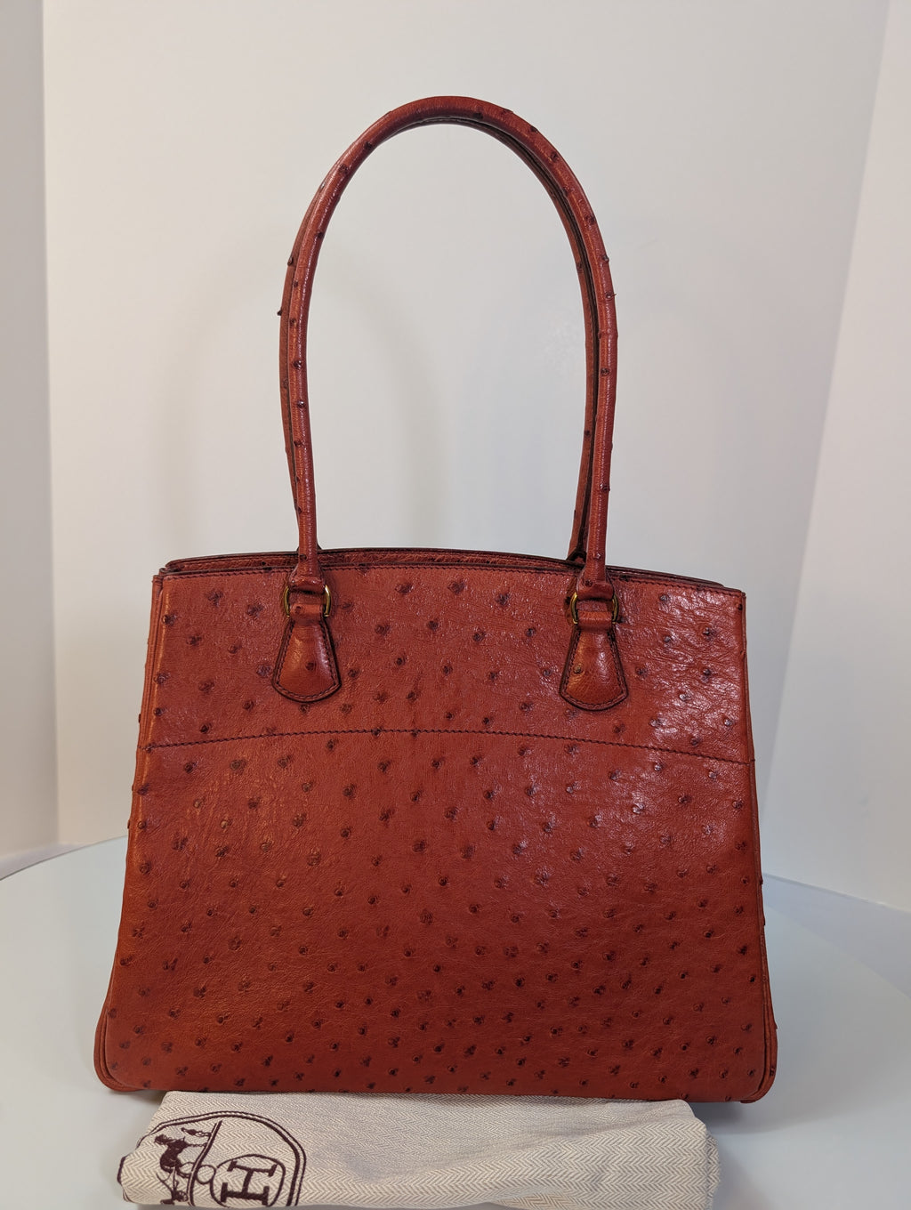 Hermes Vintage Orange Terracotta Ostrich Leather Tote Bag