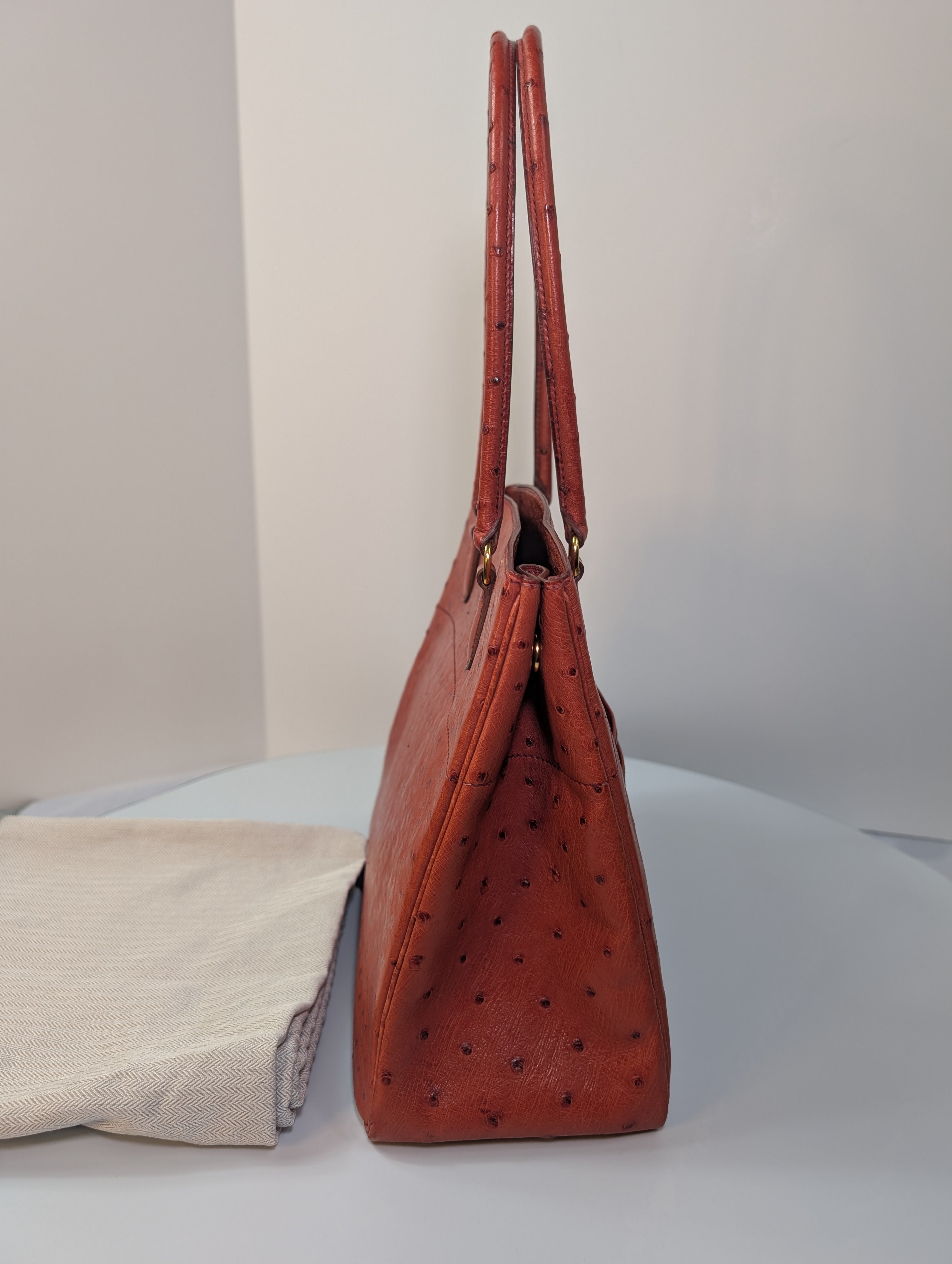 Hermes Vintage Orange Terracotta Ostrich Leather Tote Bag