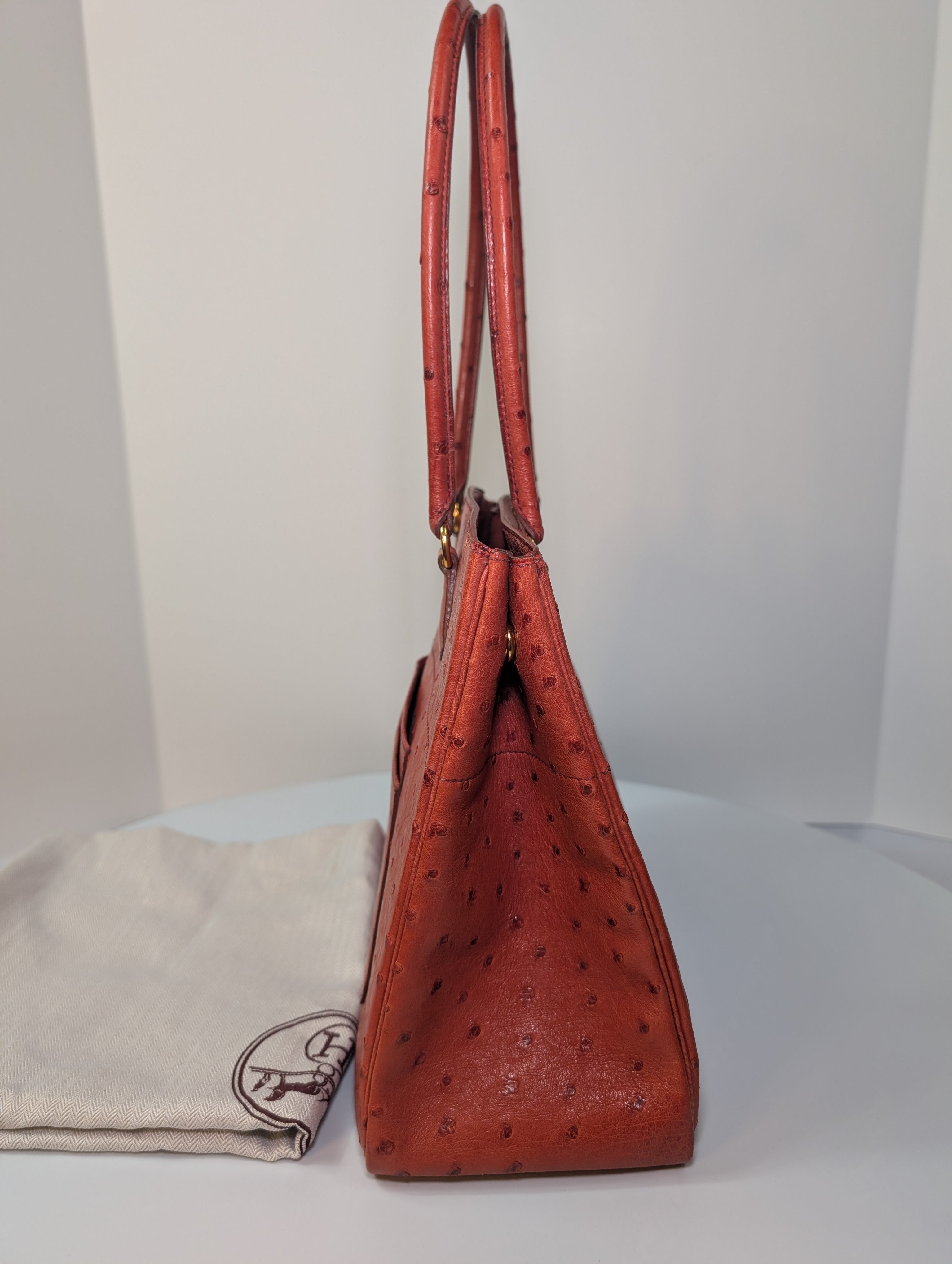 Hermes Vintage Orange Terracotta Ostrich Leather Tote Bag