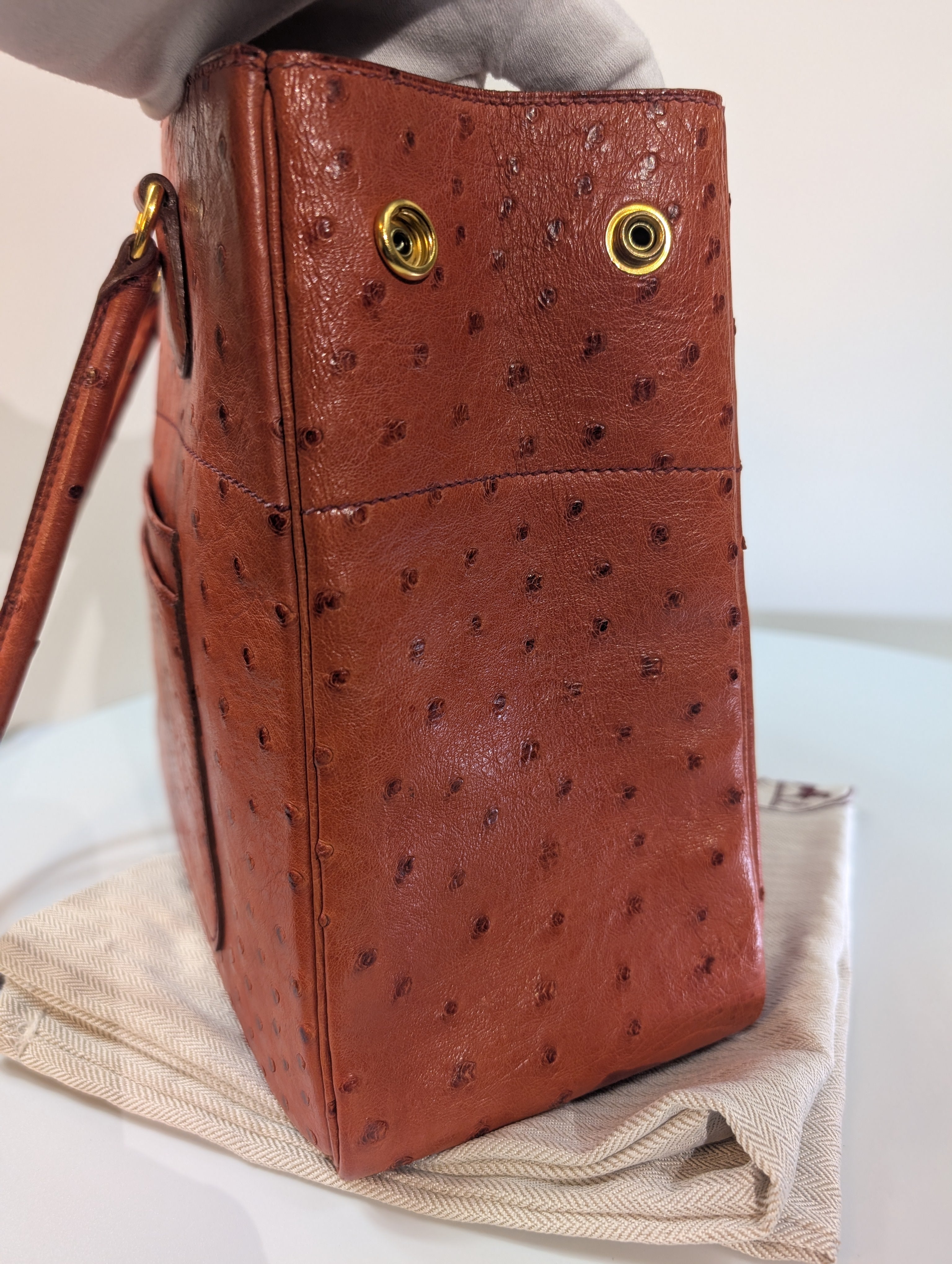 Hermes Vintage Orange Terracotta Ostrich Leather Tote Bag