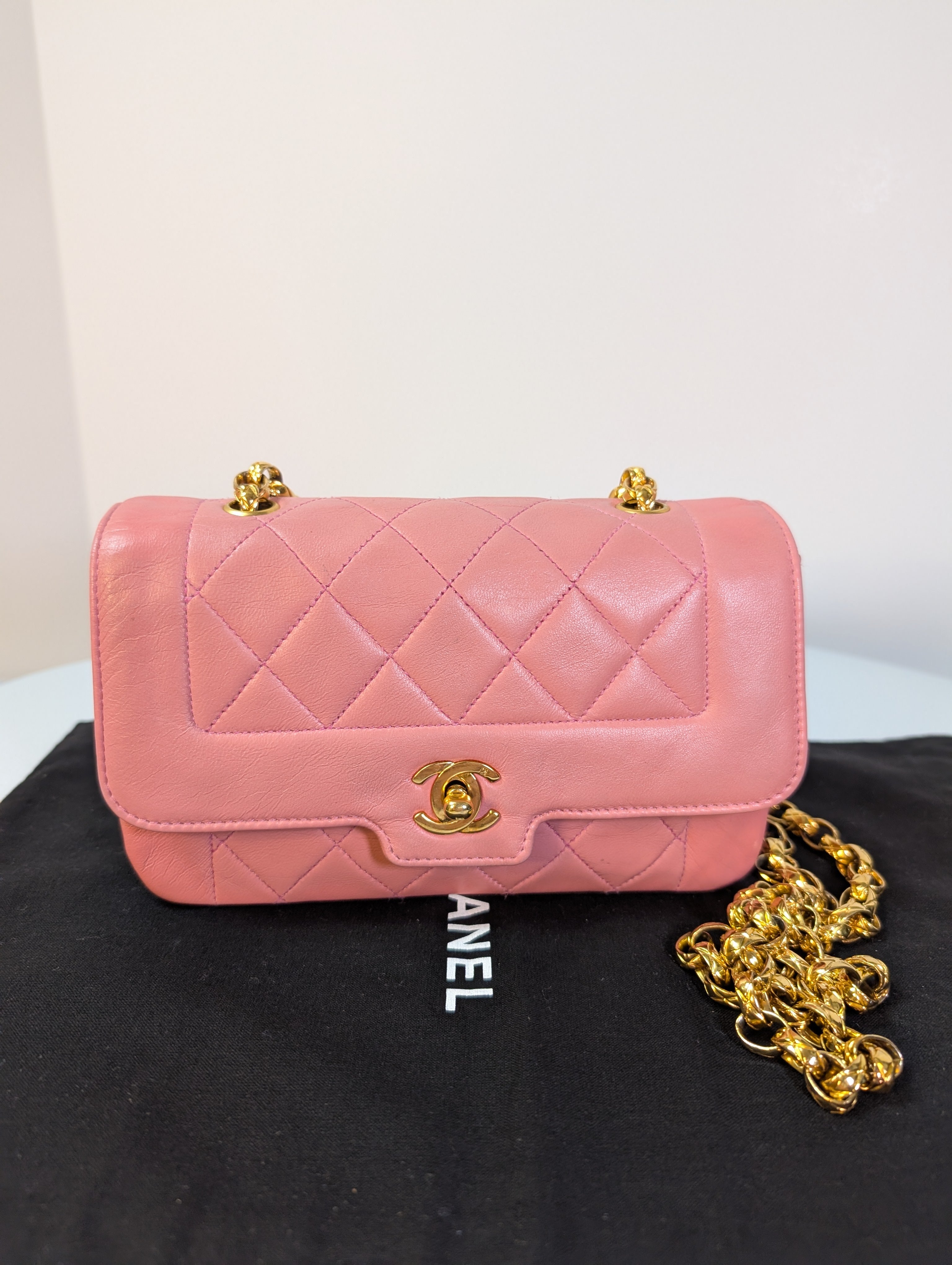 Chanel Rare Vintage Pink 1-Series Mini Diana Flap Bag – Encore