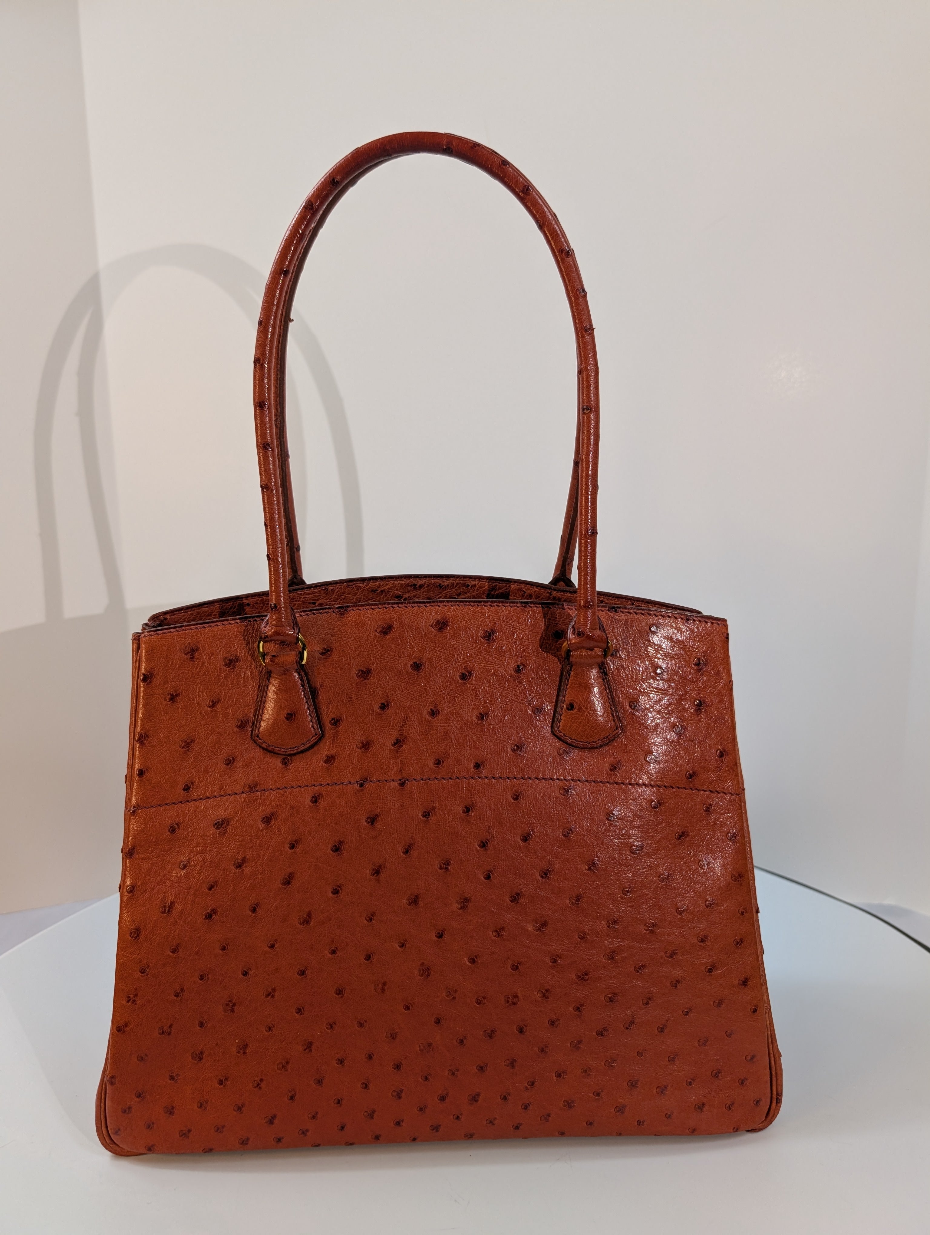 Hermes Vintage Orange Terracotta Ostrich Leather Tote Bag