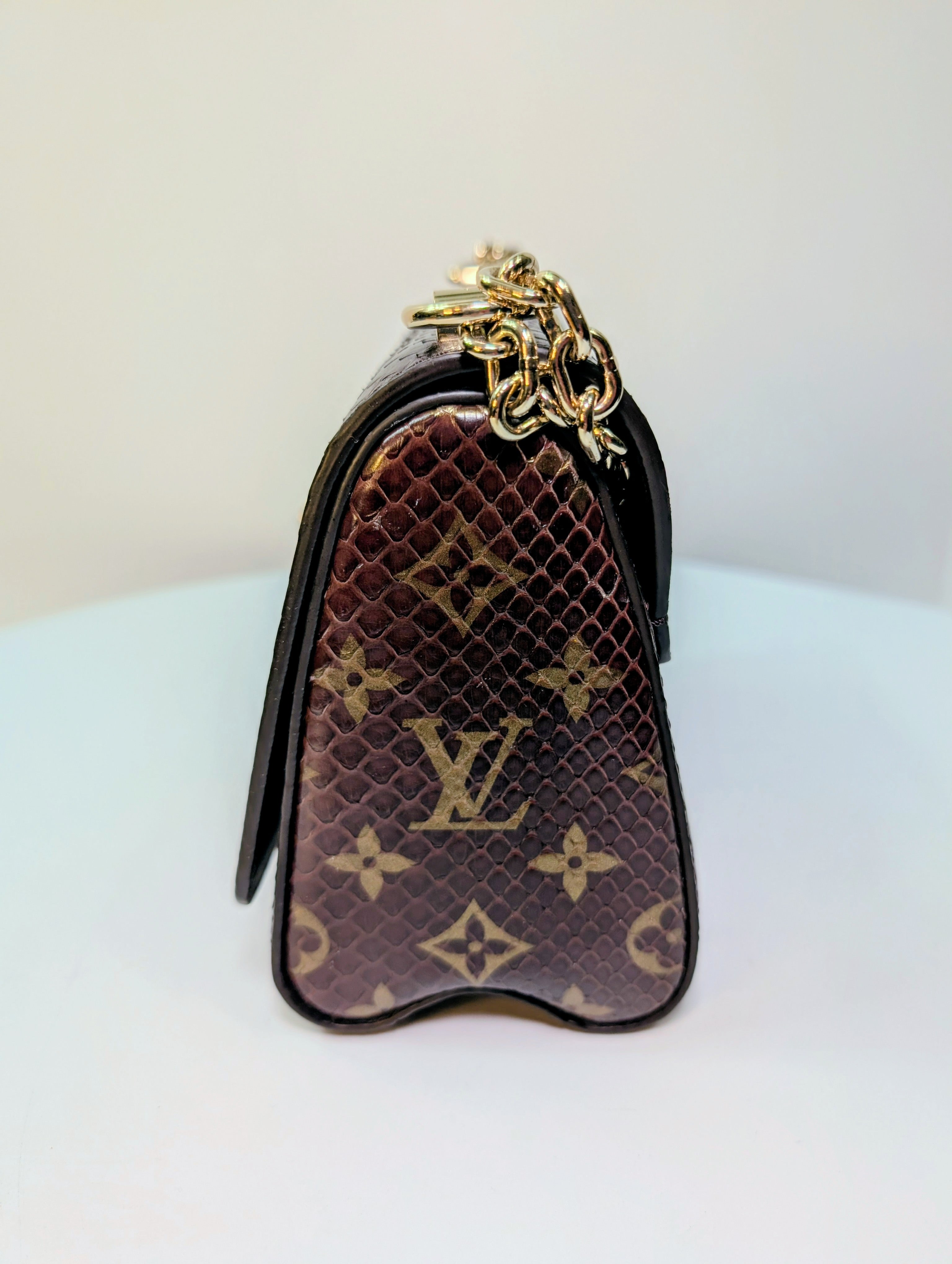 Louis Vuitton Brown Glazed Python Monogram Twist PM Bag