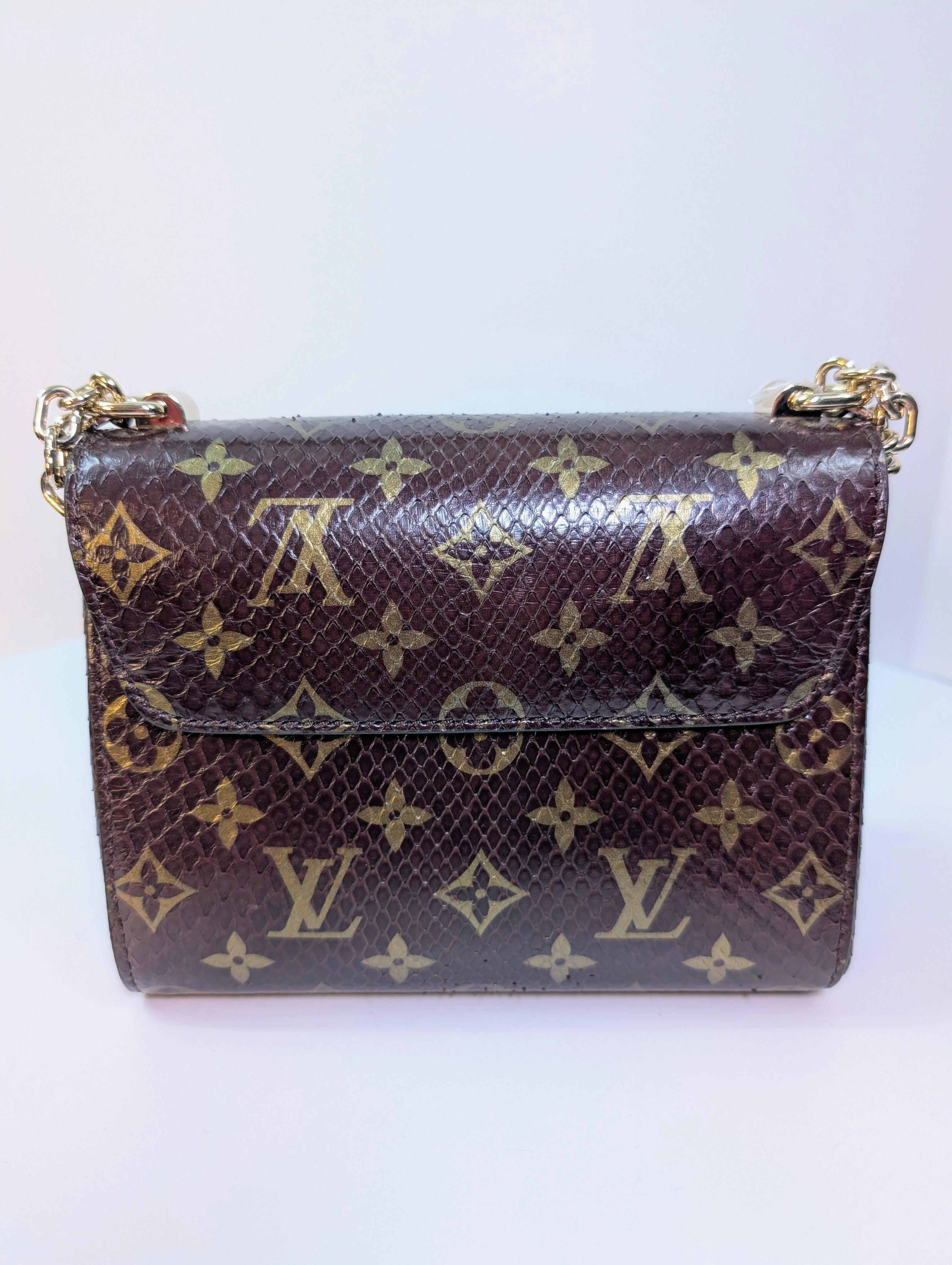 Louis Vuitton Brown Glazed Python Monogram Twist PM Bag