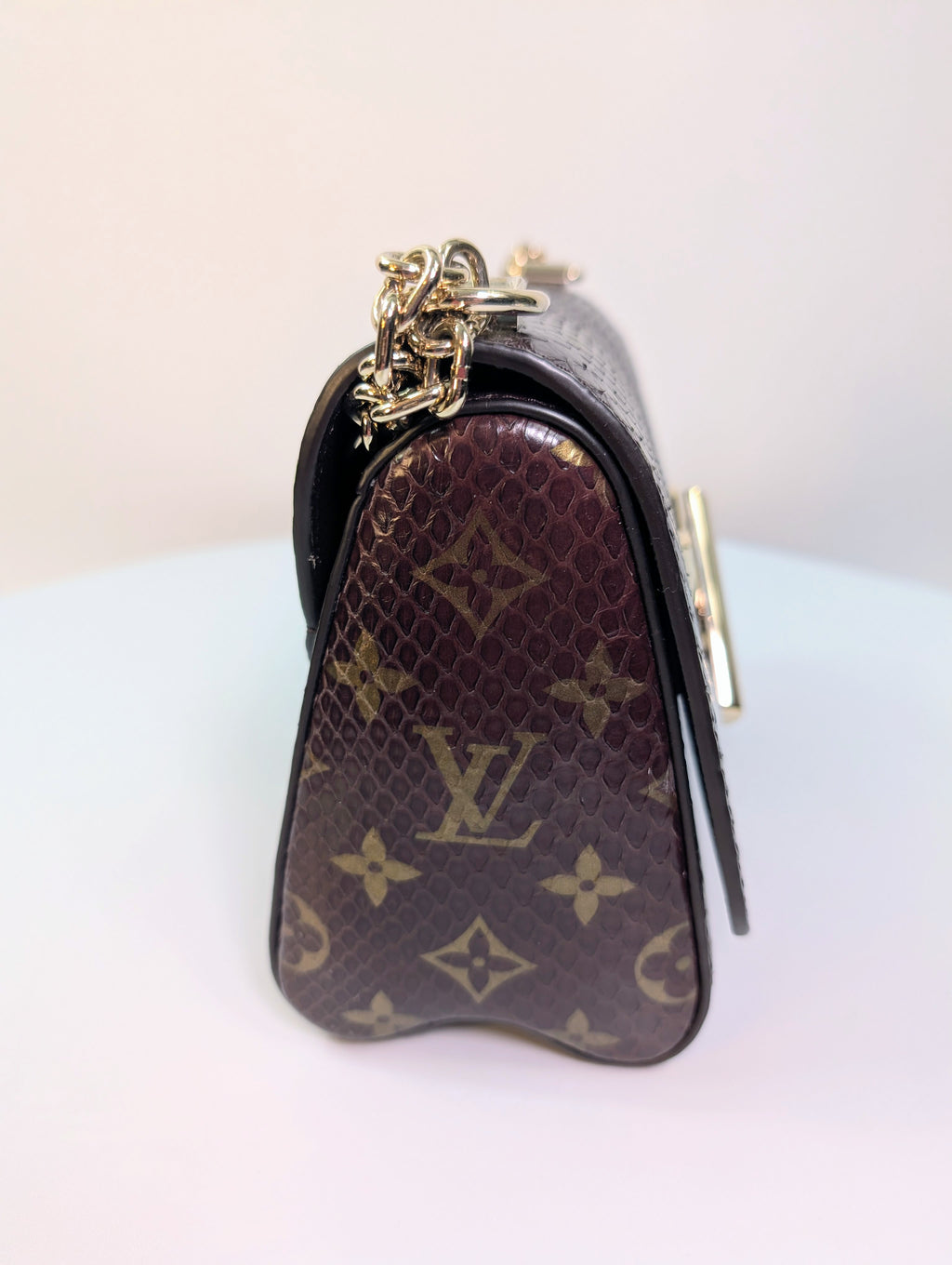 Louis Vuitton Brown Glazed Python Monogram Twist PM Bag