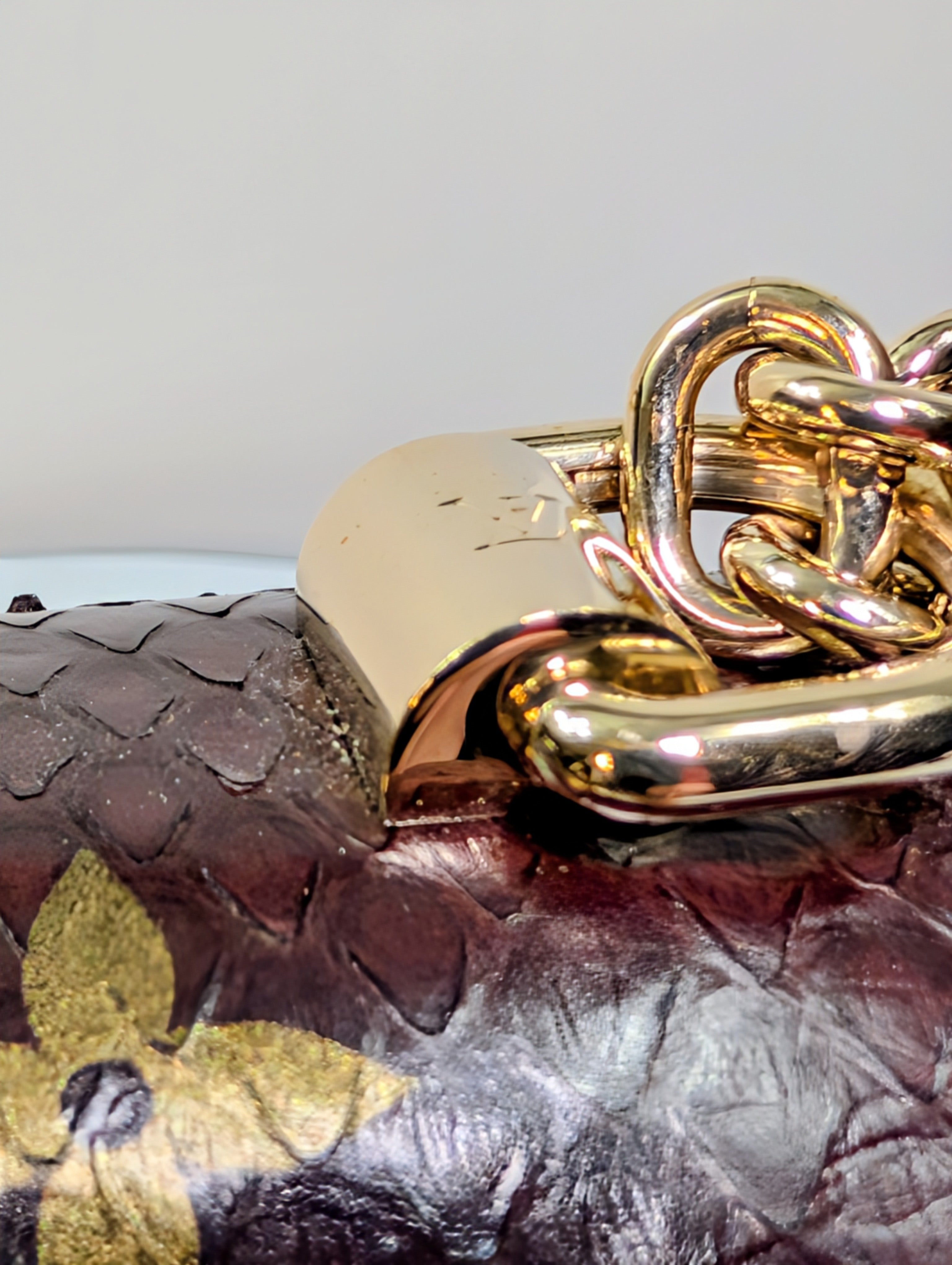 Louis Vuitton Brown Glazed Python Monogram Twist PM Bag