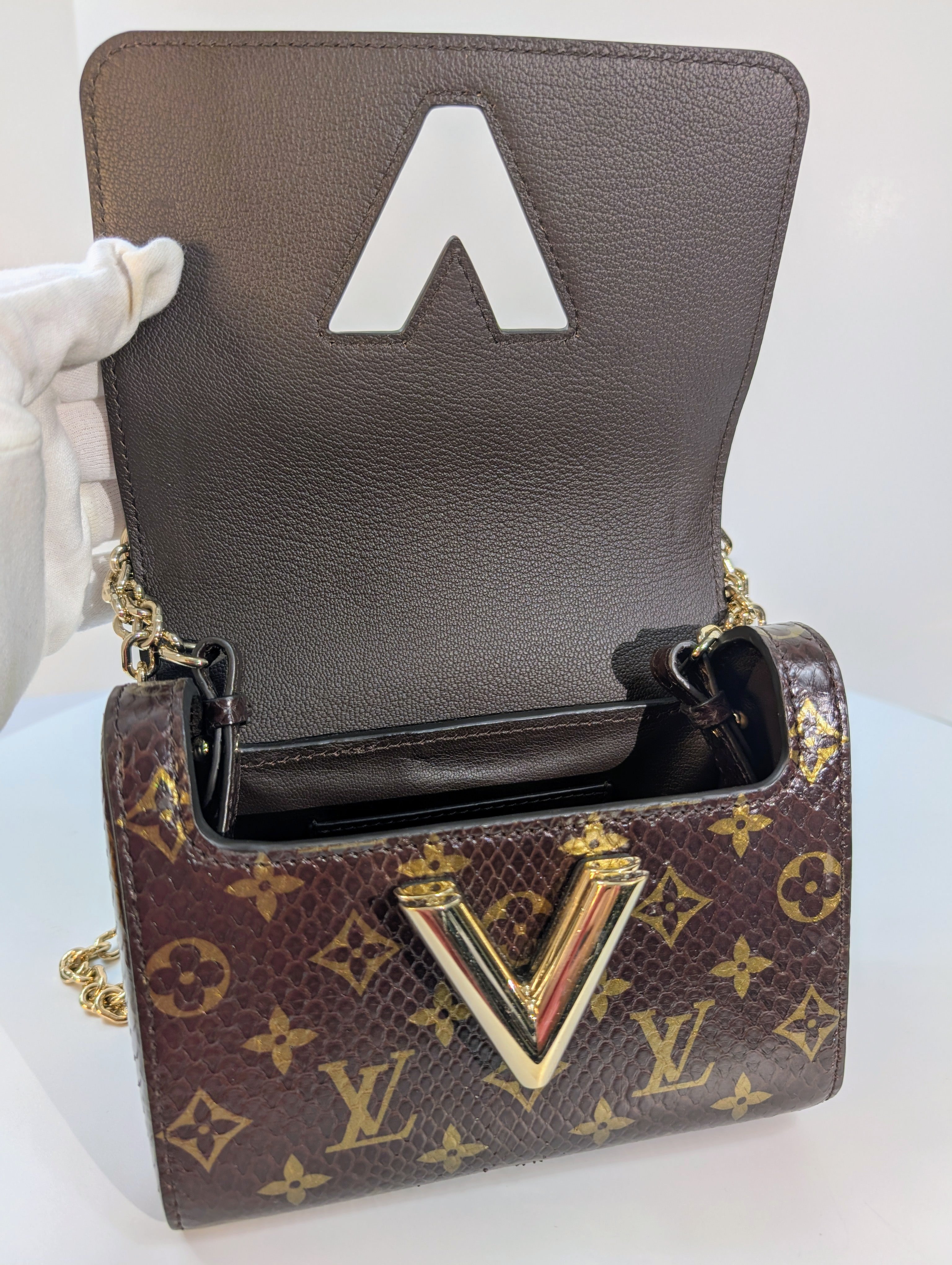 Louis Vuitton Brown Glazed Python Monogram Twist PM Bag