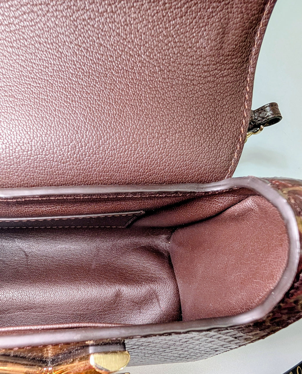 Louis Vuitton Brown Glazed Python Monogram Twist PM Bag