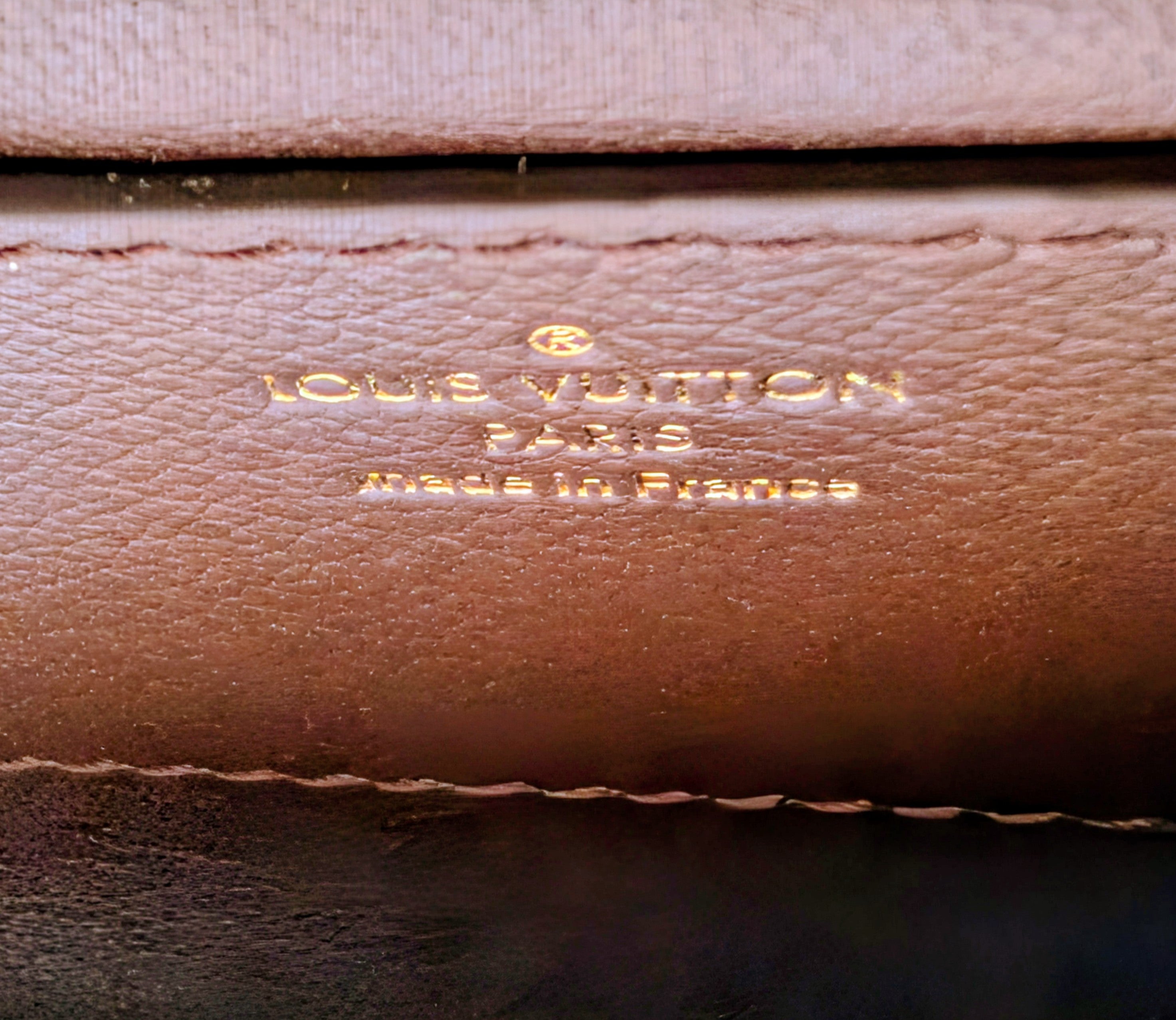 Louis Vuitton Brown Glazed Python Monogram Twist PM Bag