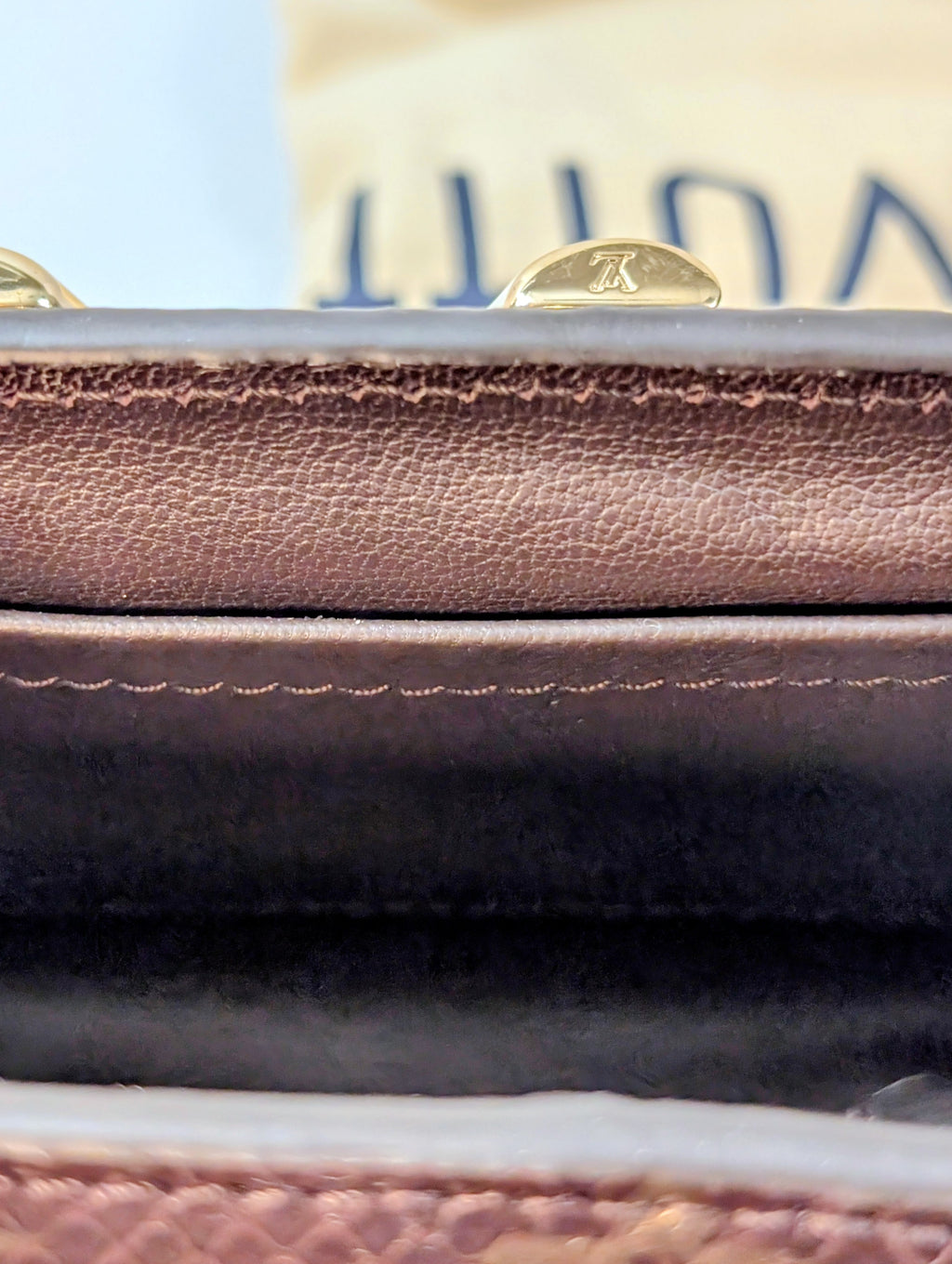 Louis Vuitton Brown Glazed Python Monogram Twist PM Bag