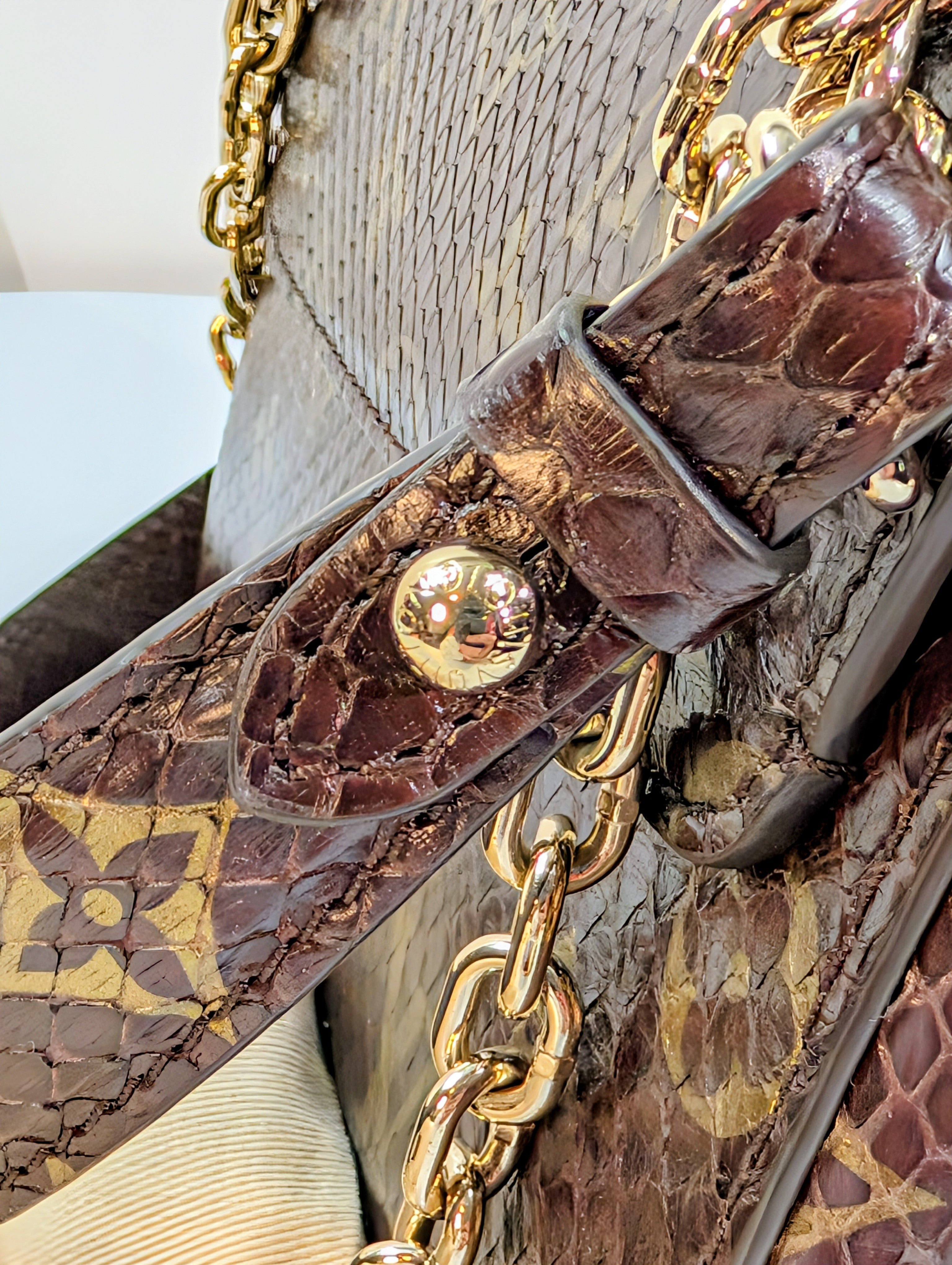 Louis Vuitton Brown Glazed Python Monogram Twist PM Bag