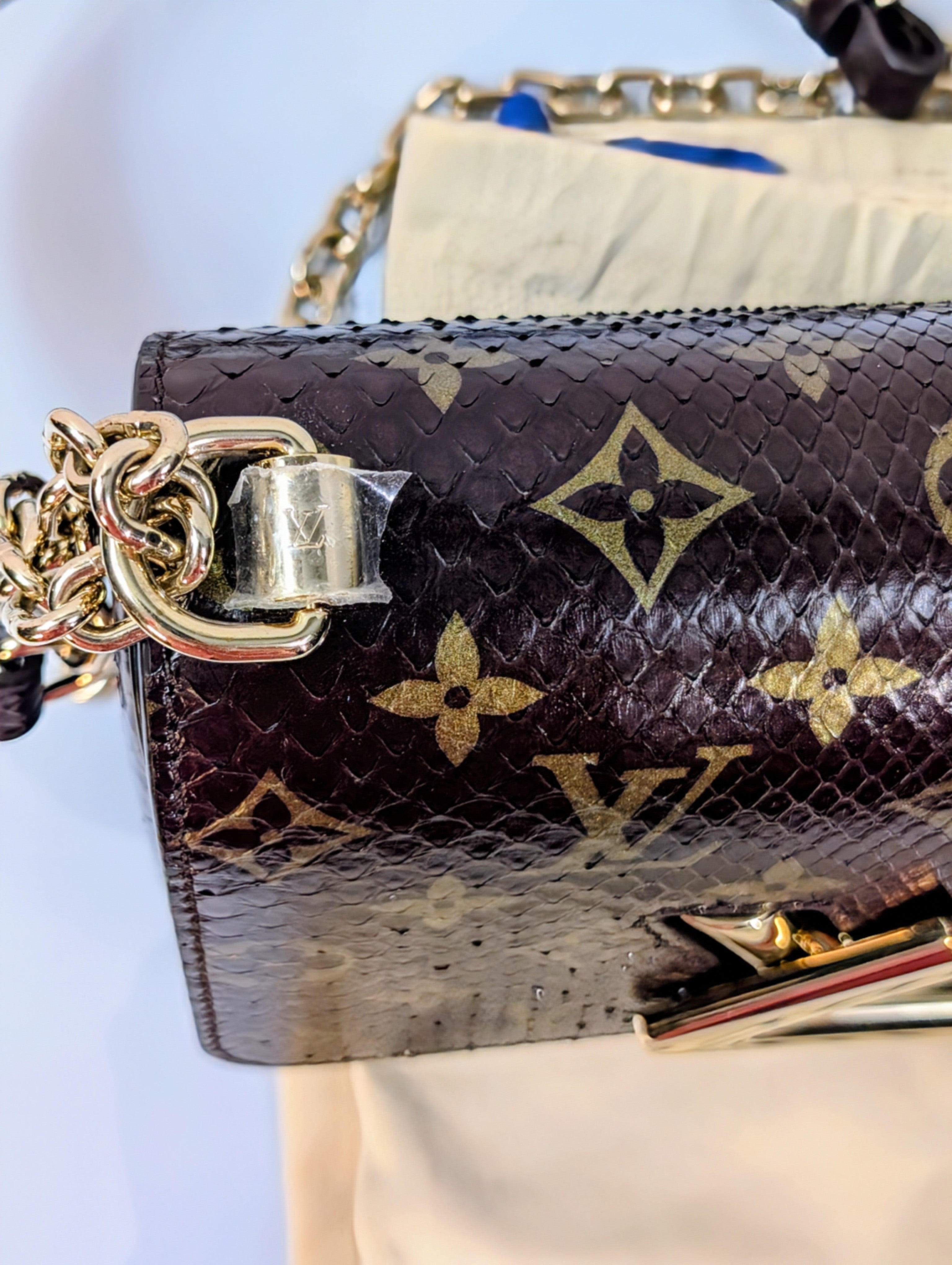Louis Vuitton Brown Glazed Python Monogram Twist PM Bag