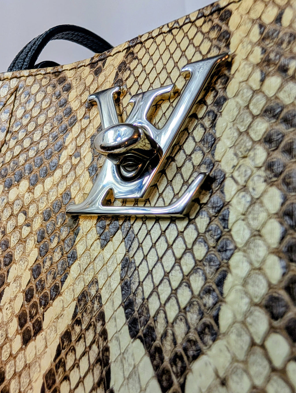 Louis Vuitton Black Grained Leather and Python Lockme Cabas Tote Bag