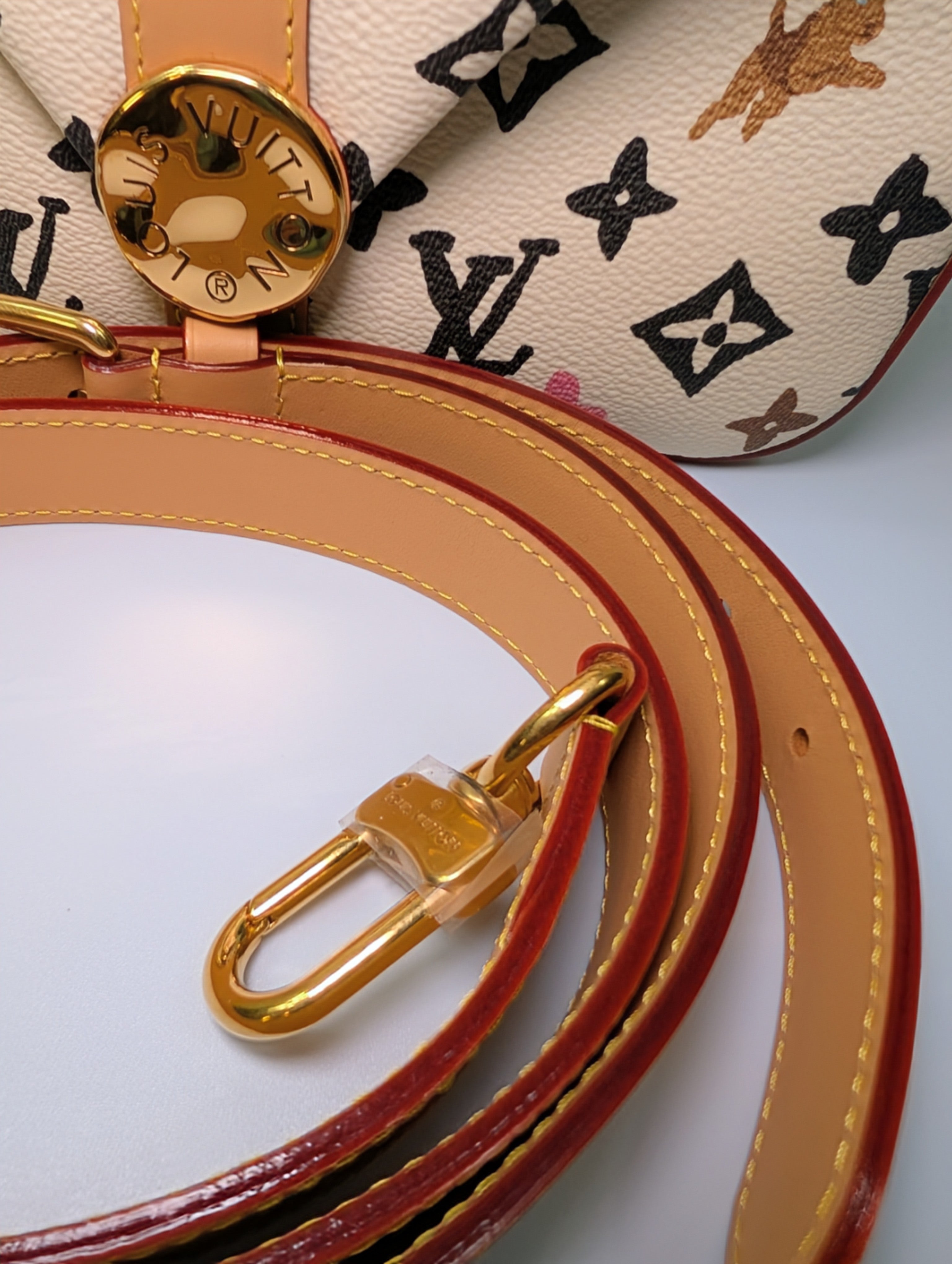 Louis Vuitton x Tyler the Creator Colorful Monogram Craggy Envelope Shoulder Bag