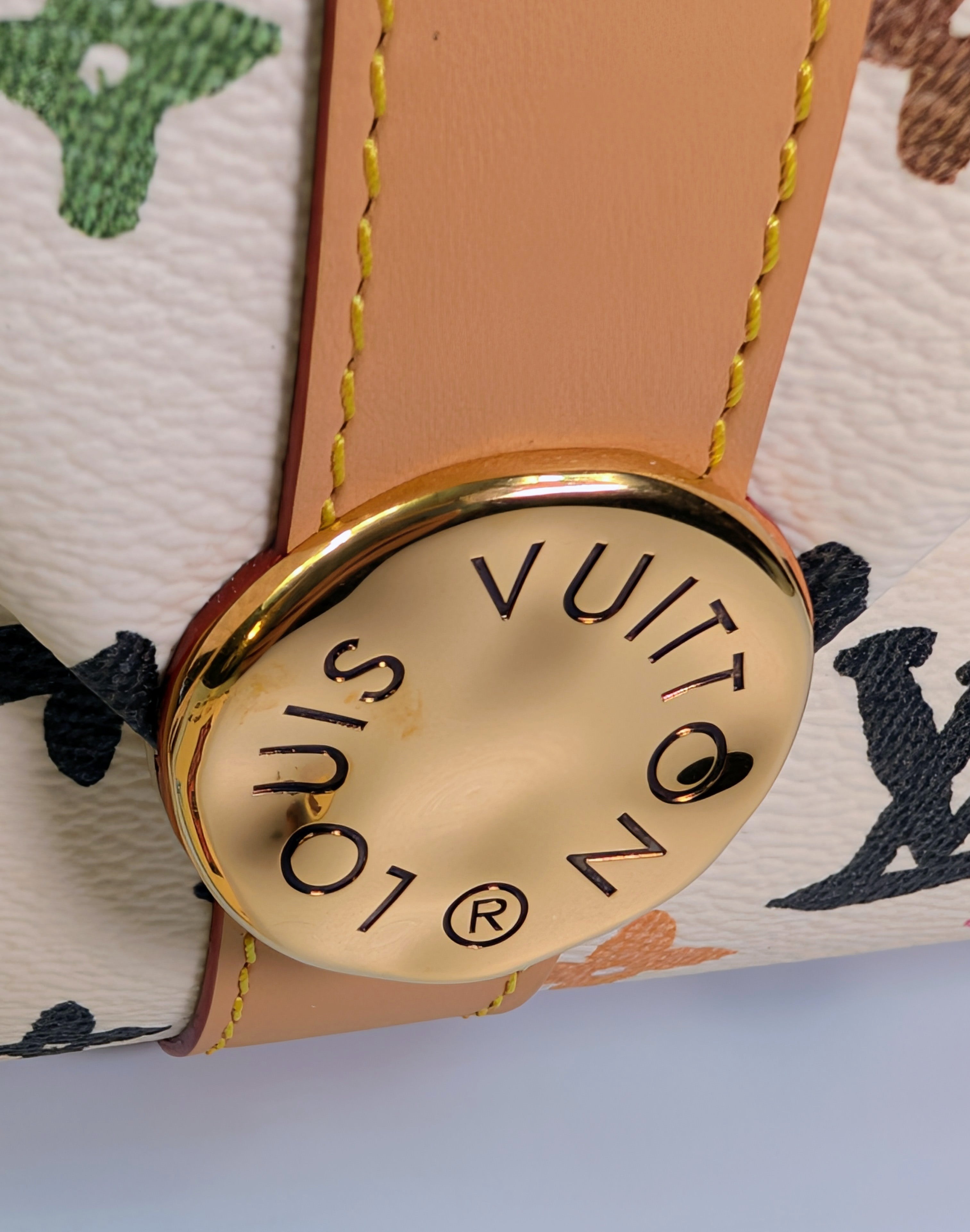 Louis Vuitton x Tyler the Creator Colorful Monogram Craggy Envelope Shoulder Bag