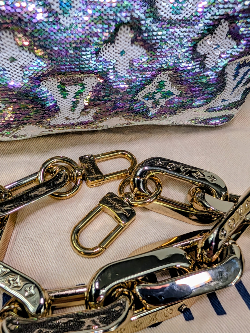 Louis Vuitton Iridescent Coussin Sequin and Silver Monogram Empreinte Bag