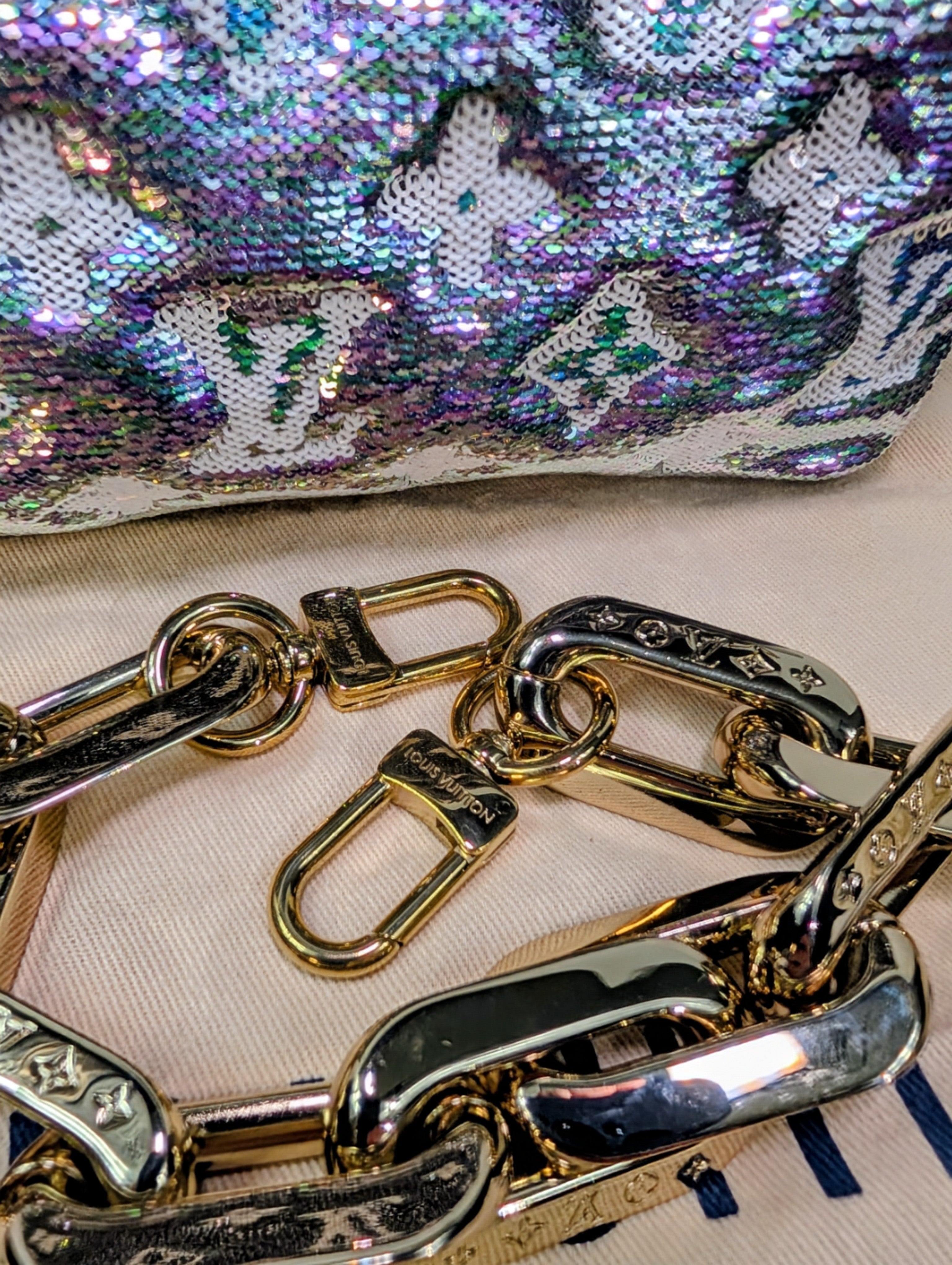 Louis Vuitton Iridescent Coussin Sequin and Silver Monogram Empreinte Bag