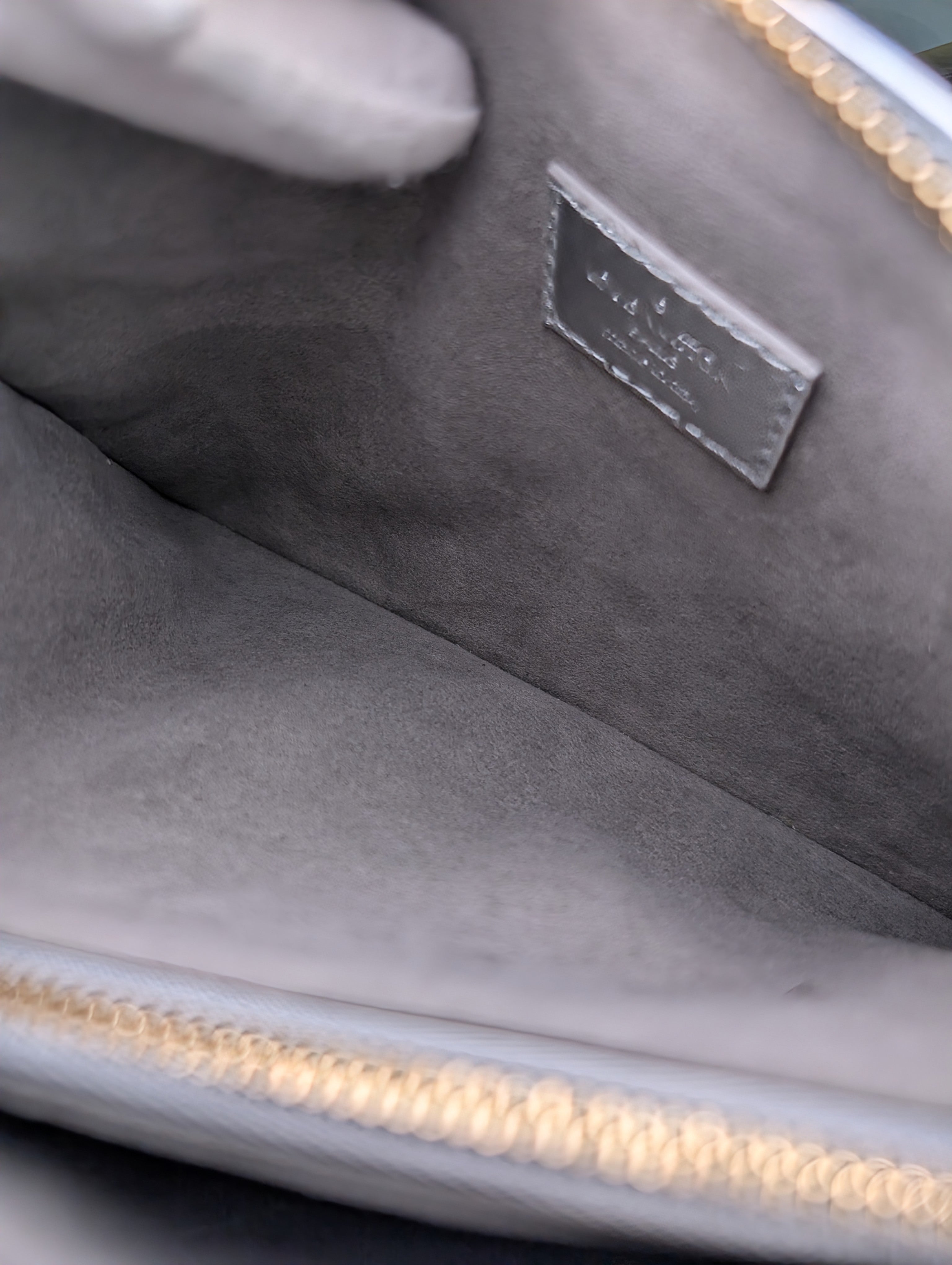 Louis Vuitton Iridescent Coussin Sequin and Silver Monogram Empreinte Bag