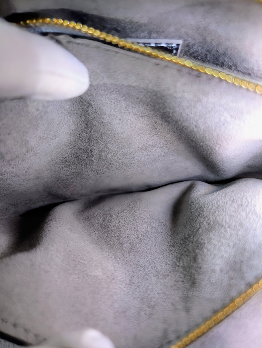 Louis Vuitton Iridescent Coussin Sequin and Silver Monogram Empreinte Bag